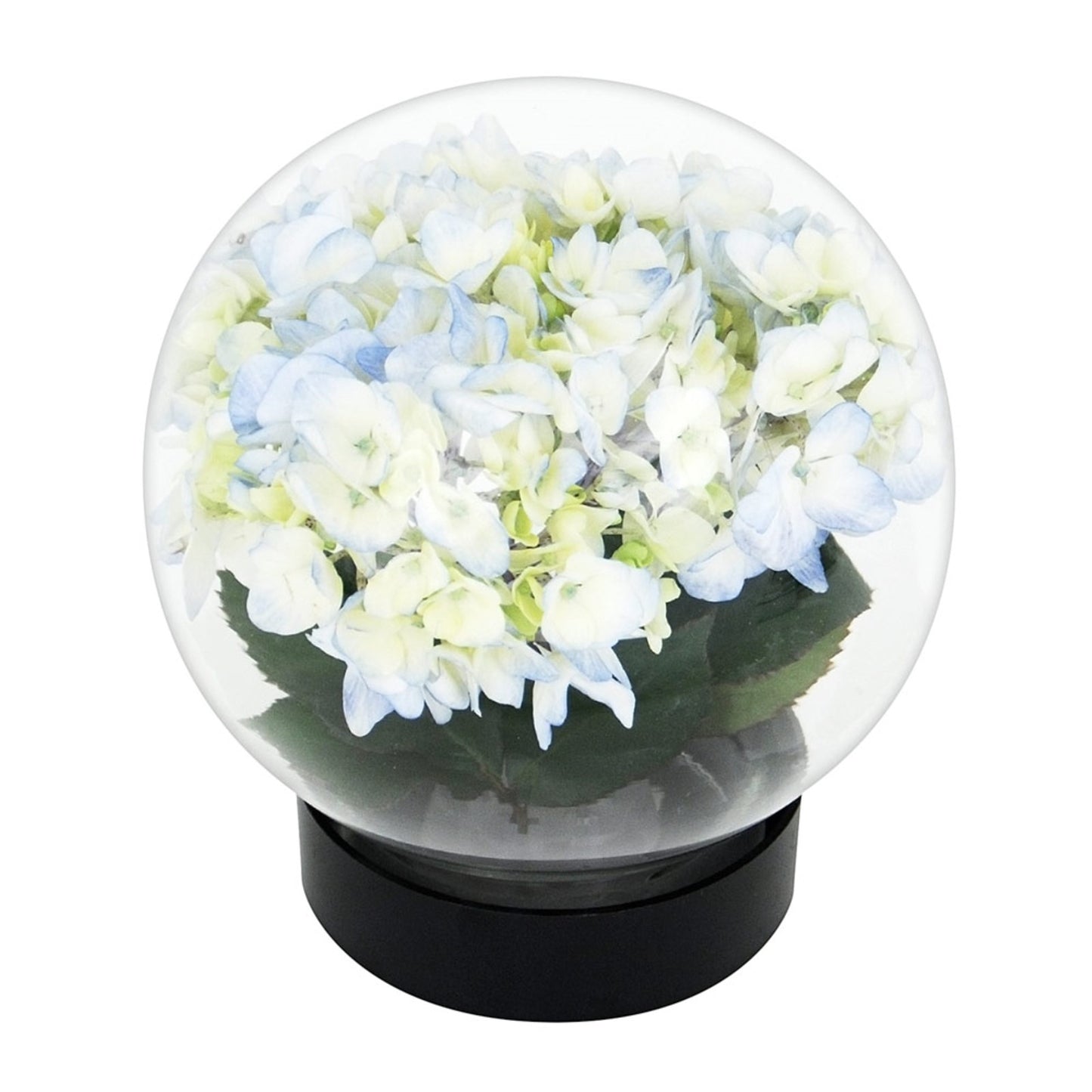 ACHLA Flower Aquarium 8in Glass Plant Stand | Clear Glass Vase with Snap Seal | Wedding Centerpiece & Tabletop Decor | 8 x 8 x 8 in | Model FLAQ-01