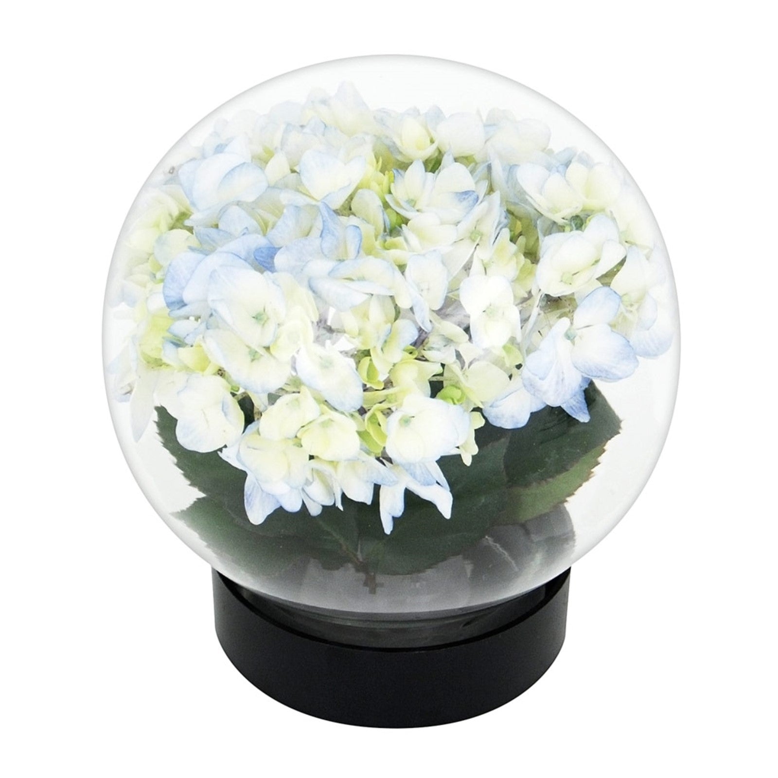 ACHLA Flower Aquarium 8in Glass Plant Stand | Clear Glass Vase with Snap Seal | Wedding Centerpiece & Tabletop Decor | 8 x 8 x 8 in | Model FLAQ-01