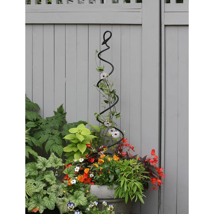 ACHLA Spiral Trellis 42in | Black Wrought Iron Container Trellis | Patio & Garden Climbing Plant Support | 8 x 8 x 42 in | Model FST-01