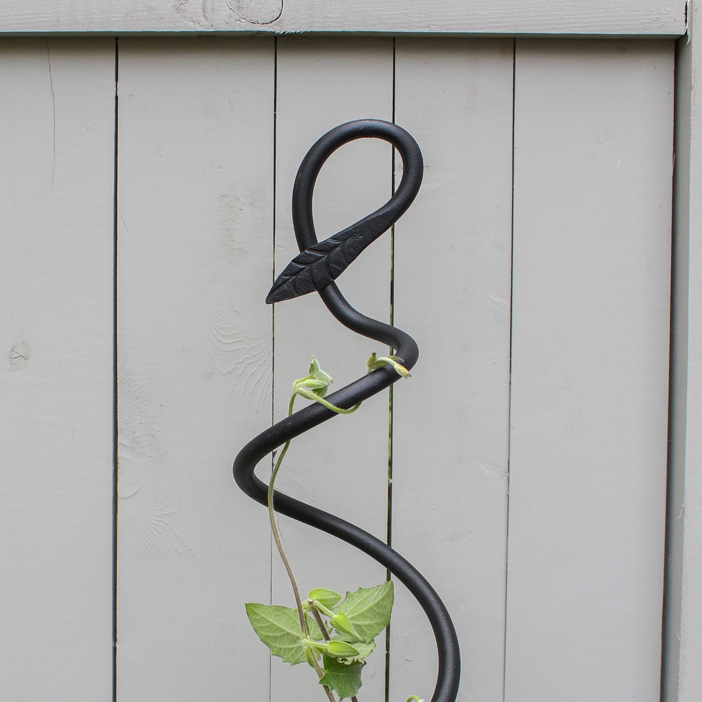 ACHLA Spiral Trellis 42in | Black Wrought Iron Container Trellis | Patio & Garden Climbing Plant Support | 8 x 8 x 42 in | Model FST-01