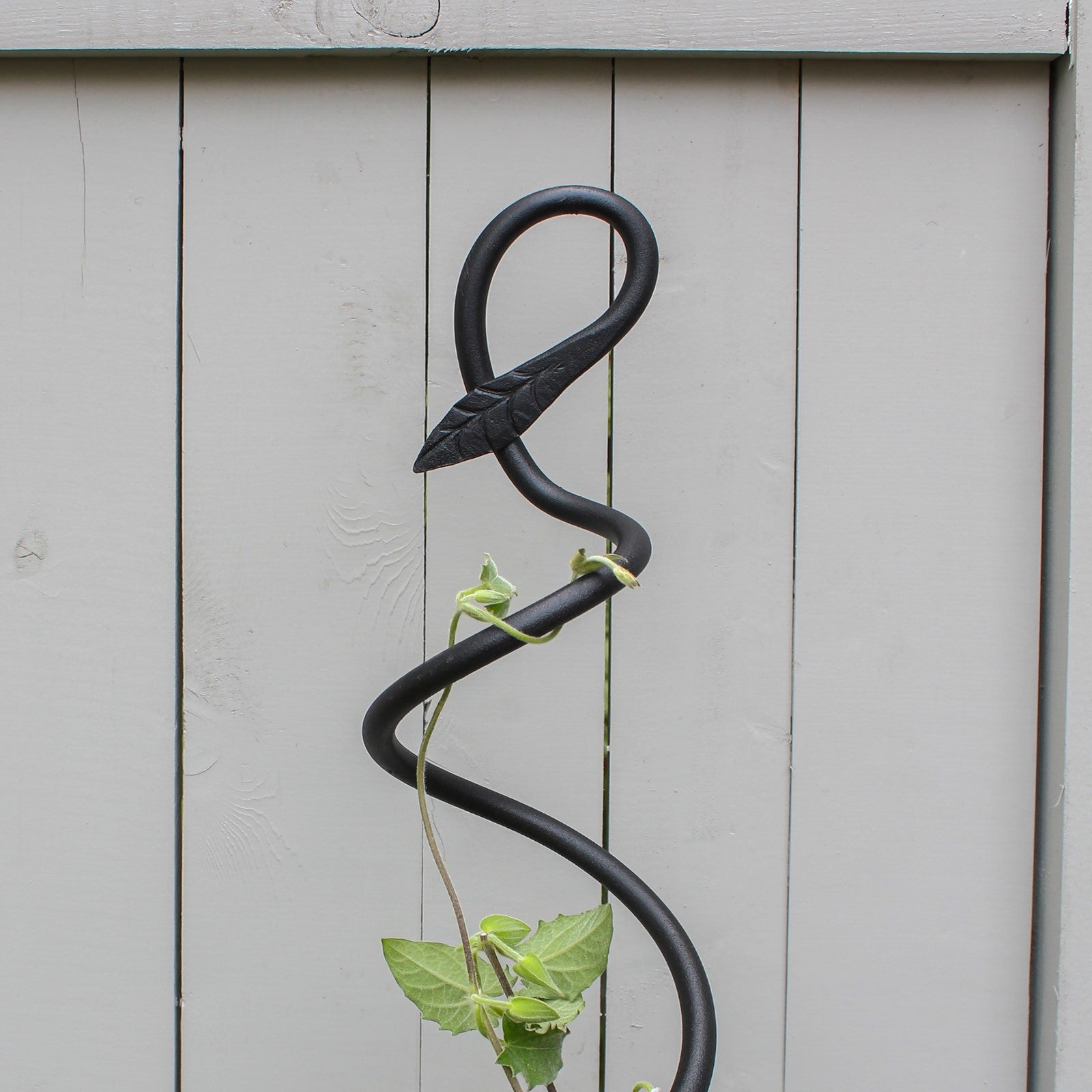 ACHLA Spiral Trellis 42in | Black Wrought Iron Container Trellis | Patio & Garden Climbing Plant Support | 8 x 8 x 42 in | Model FST-01