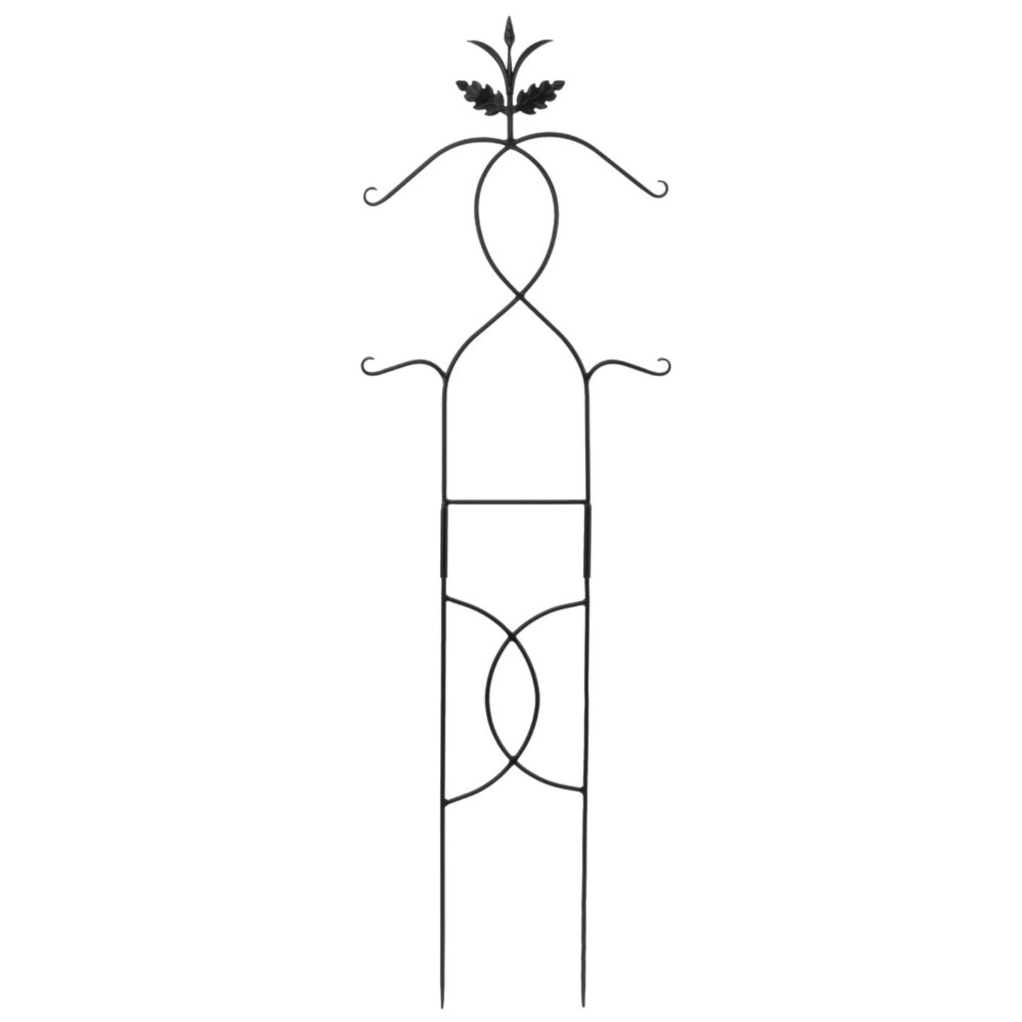 ACHLA Tendrils Trellis I 24in Wide 72in Tall | Black Wrought Iron Garden Trellis | Climbing Plants & Vertical Garden | 24 x 0.5 x 72 in | Model FT-01