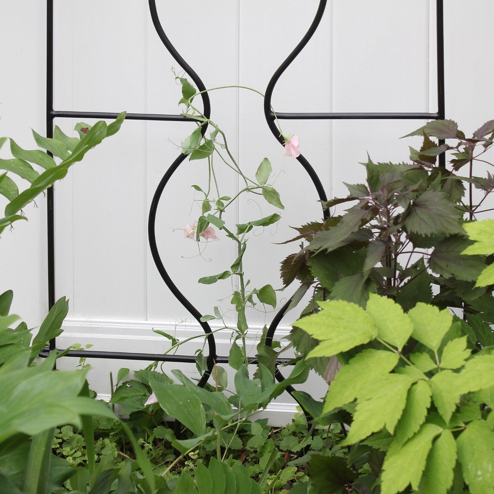 ACHLA Orangery Trellis 24in Wrought Iron | Garden & Privacy Screen | Black Powder Coat | 24 x 0.5 x 65 in | Model FT-11