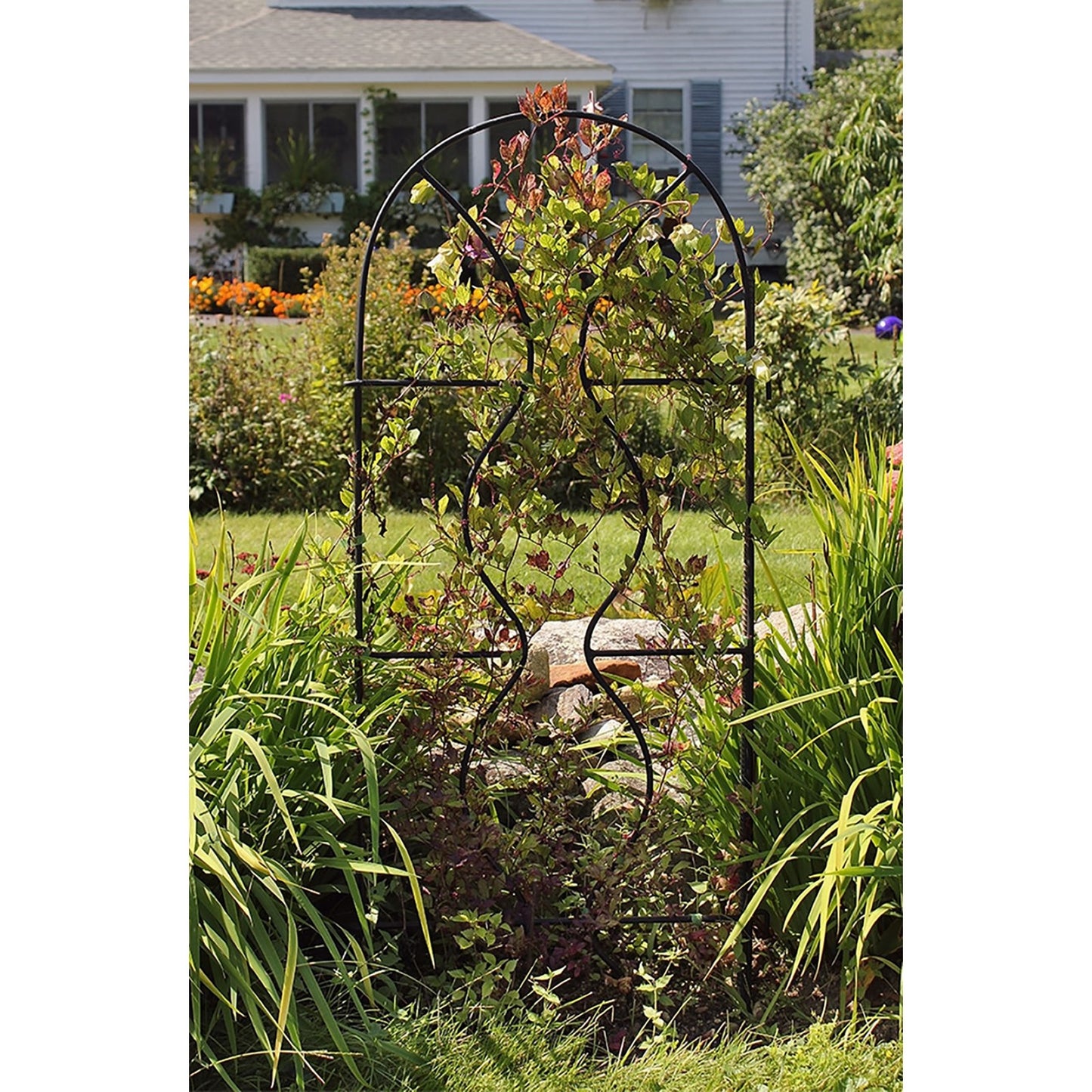 ACHLA Orangery Trellis 24in Wrought Iron | Garden & Privacy Screen | Black Powder Coat | 24 x 0.5 x 65 in | Model FT-11