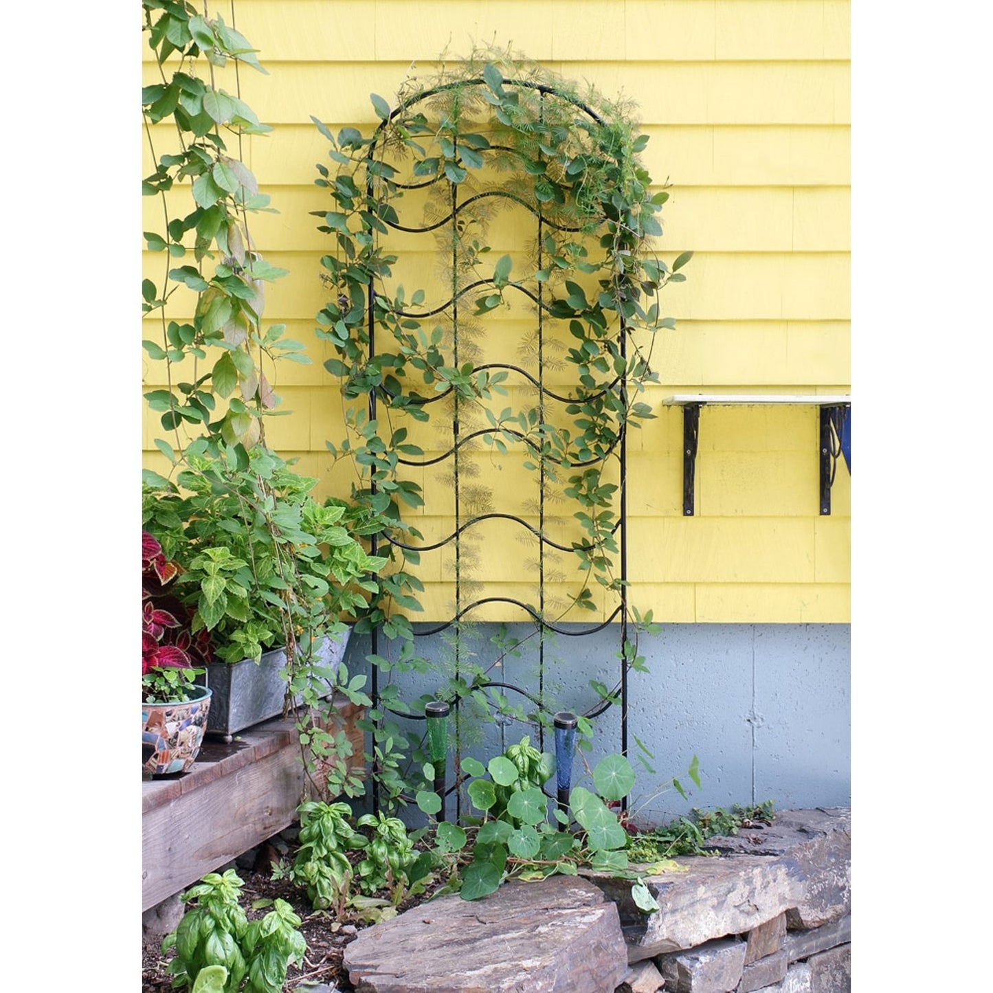 ACHLA Waves Trellis 23.5in Wrought Iron Garden Support | Traditional Black Powder Coat | Climbing Plants & Garden Wall Accent | Model FT-16