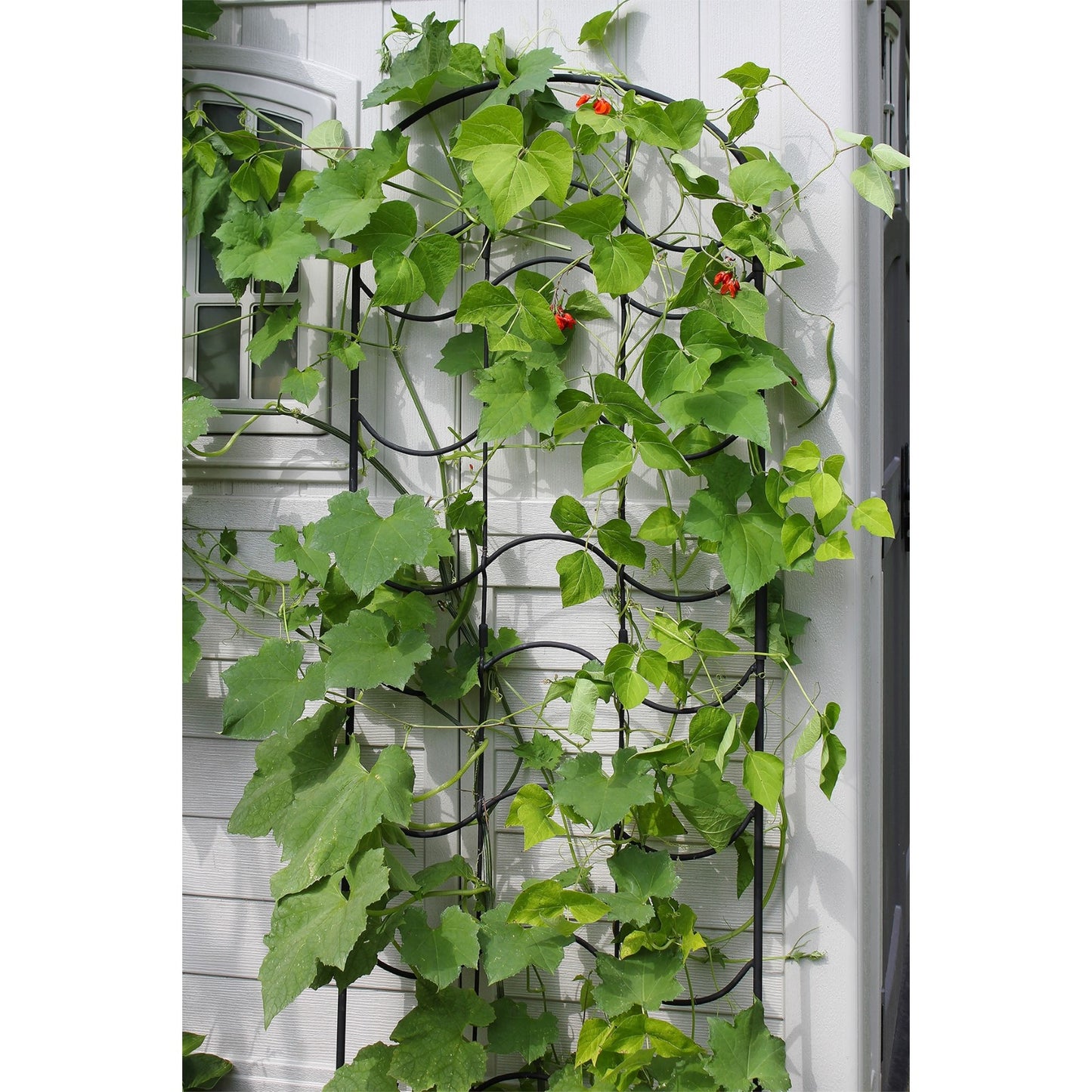 ACHLA Waves Trellis 23.5in Wrought Iron Garden Support | Traditional Black Powder Coat | Climbing Plants & Garden Wall Accent | Model FT-16