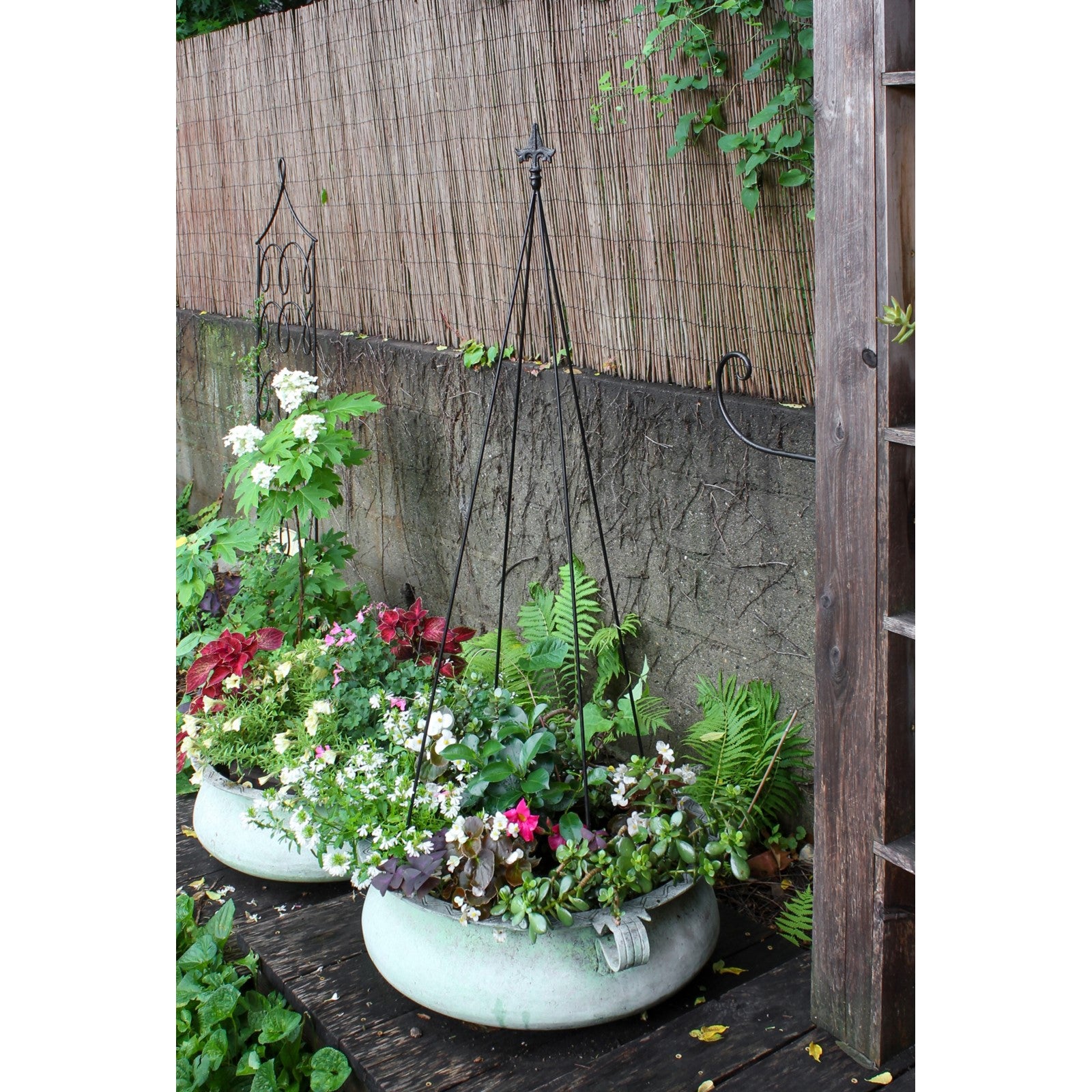 ACHLA Fleur-De-Lis Topiary 58in Garden Stake | Black Wrought Iron Trellis | Climbing Plant Support for Containers & Flowerbeds | 58 in H | Model FT-20