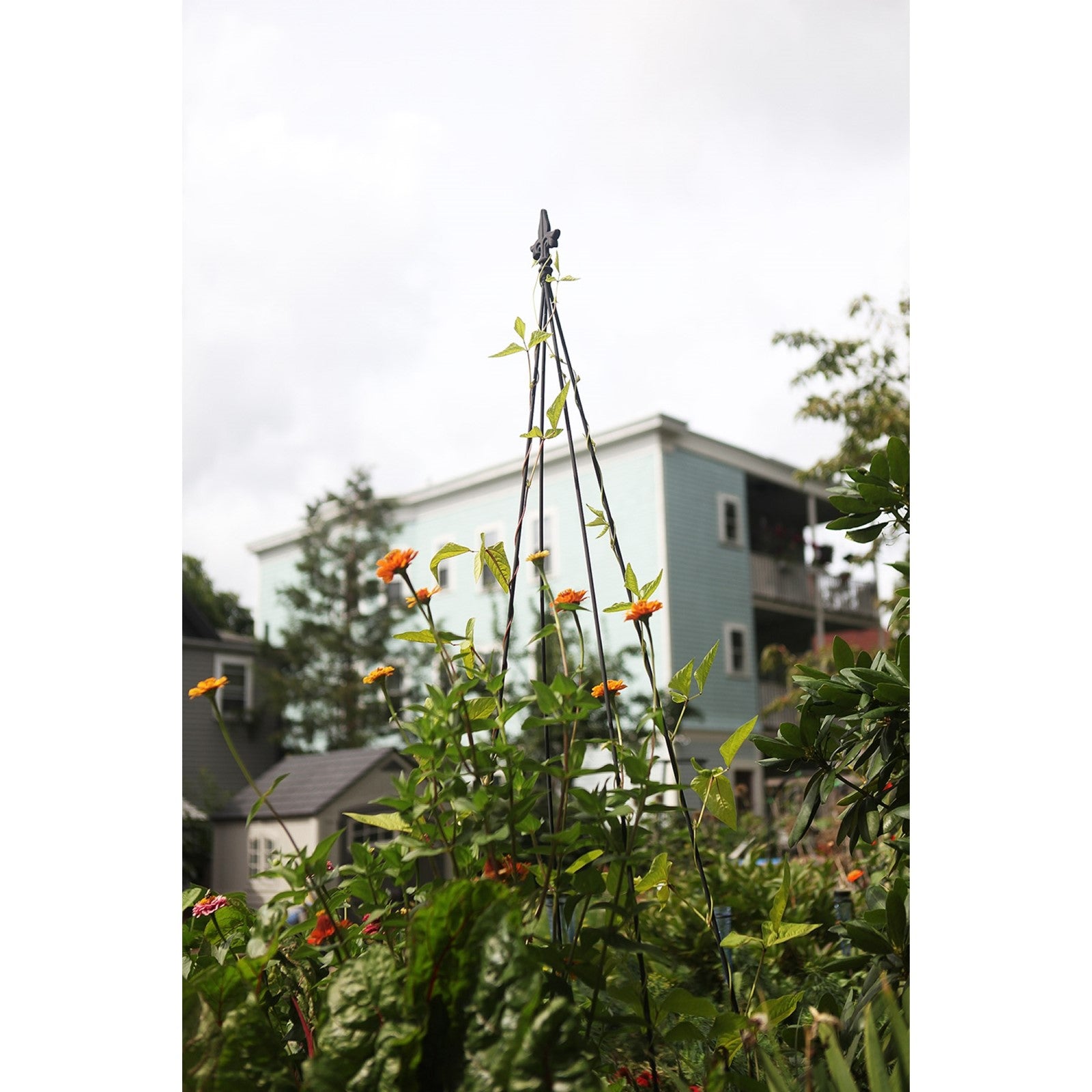 ACHLA Fleur-De-Lis Topiary 78in Garden Stake | Black Wrought Iron Trellis | Climbing Plant Support for Containers & Flowerbeds | Model FT-21