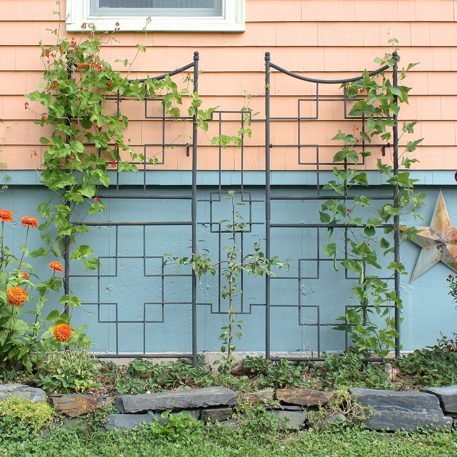 ACHLA Square-On-Squares Center Link 18in W x 48in H | Modern Craftsman Wrought Iron Graphite | Garden Privacy Screen & Room Divider | Model FT-24