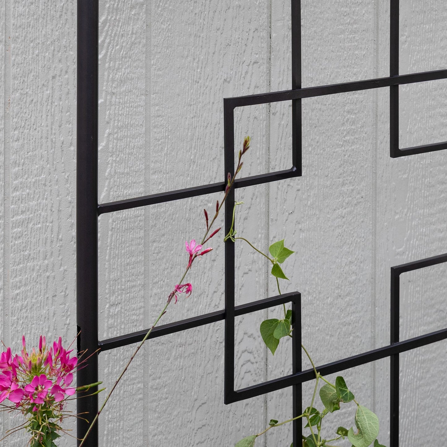 ACHLA Square-On-Squares Trellis | Wrought Iron Graphite Powder Coat | Garden & Patio Plant Support | 31.5 x 1.5 x 86 in | Model FT-25