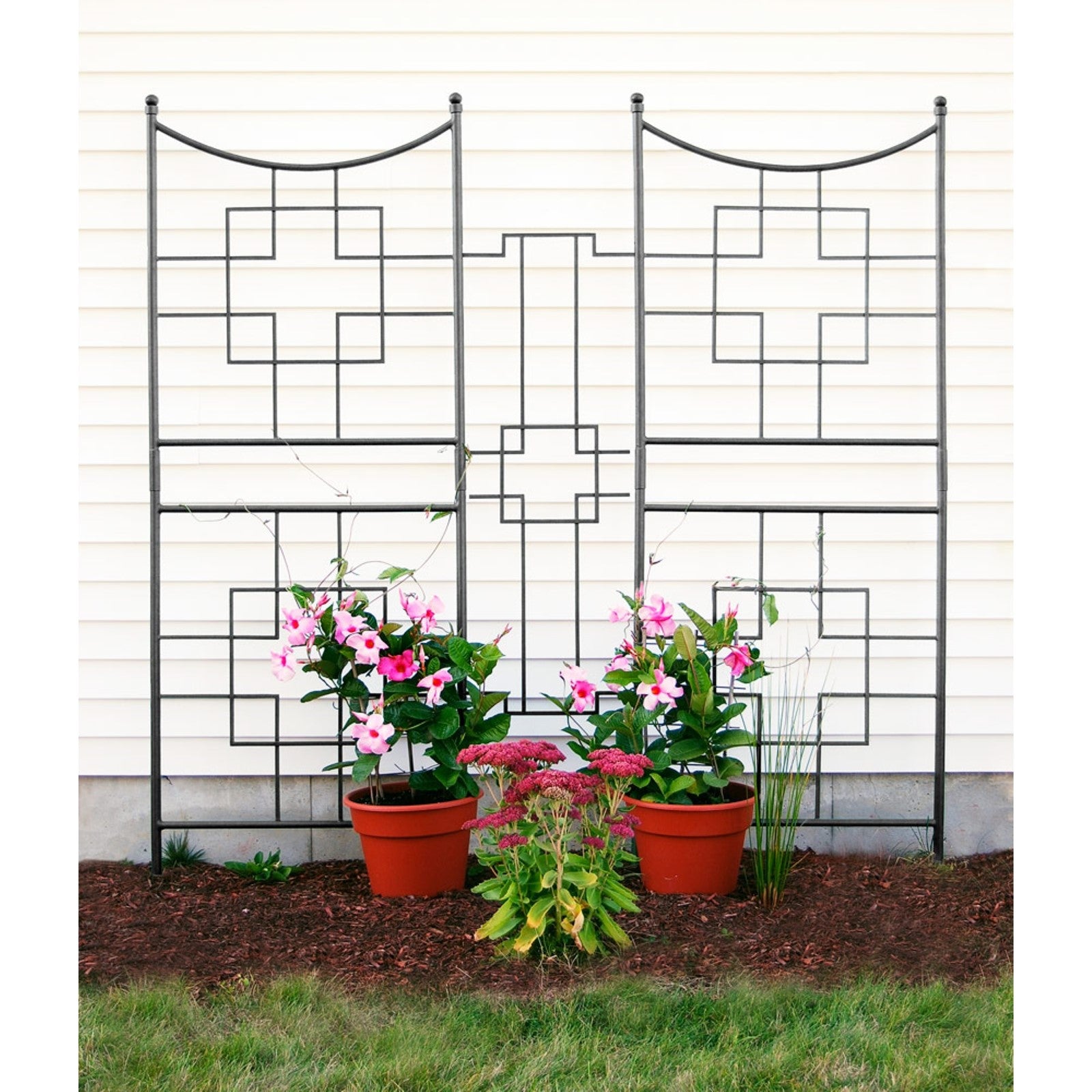 ACHLA Square-On-Squares Trellis | Wrought Iron Graphite Powder Coat | Garden & Patio Plant Support | 31.5 x 1.5 x 86 in | Model FT-25