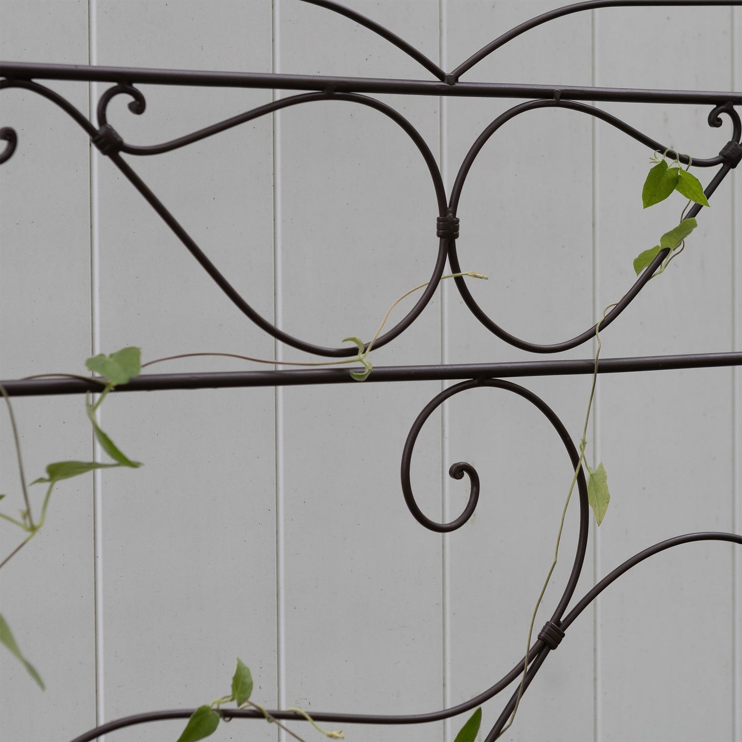 ACHLA Ferro Firenze Trellis II 29in Wrought Iron Garden Trellis | Roman Bronze Powder Coat | Climbing Plants & Garden Accent | Model FT-28