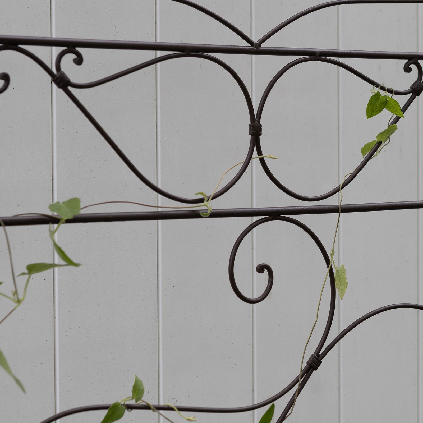 ACHLA Ferro Firenze Trellis II 29in Wrought Iron Garden Trellis | Roman Bronze Powder Coat | Climbing Plants & Garden Accent | Model FT-28