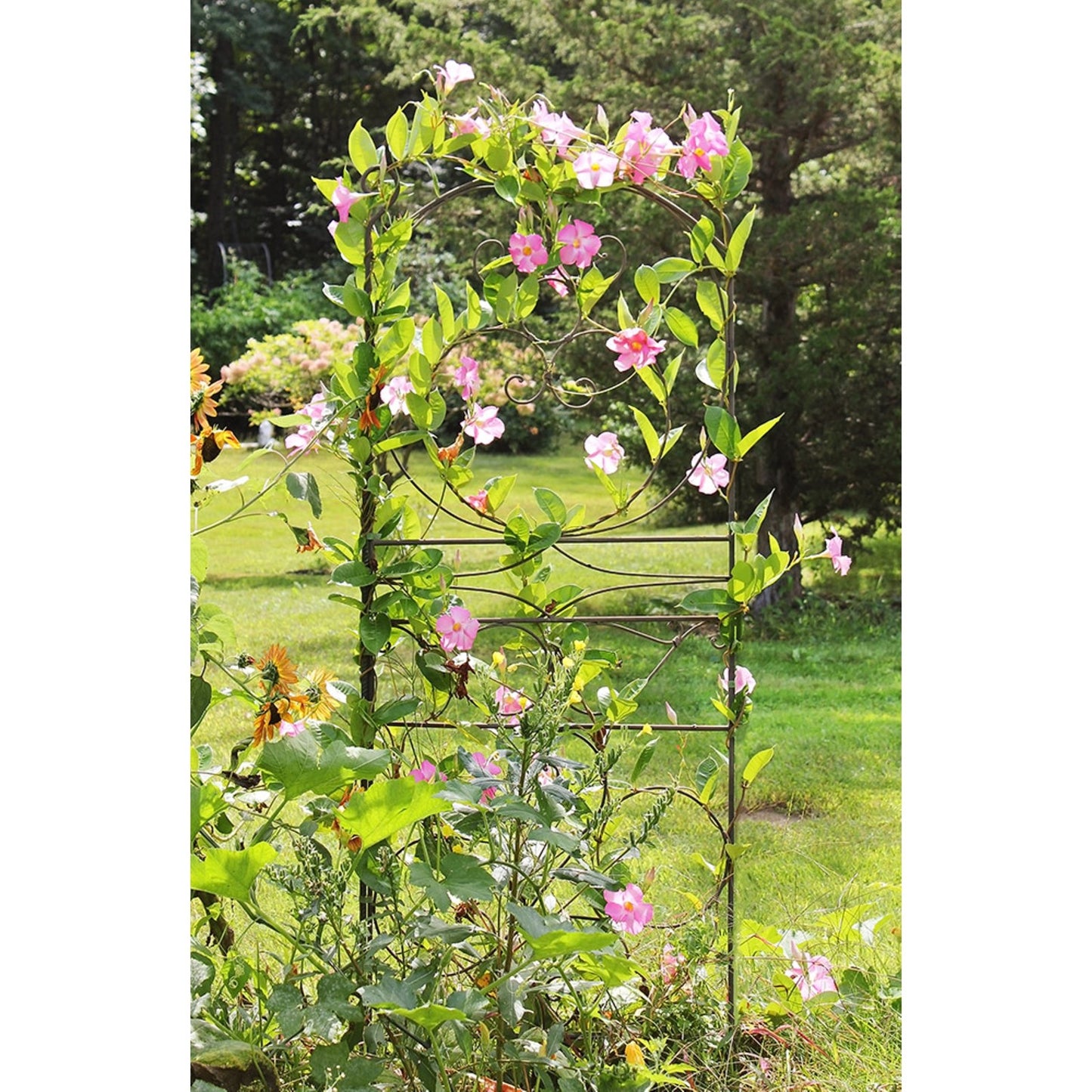 ACHLA Ferro Firenze Trellis II 29in Wrought Iron Garden Trellis | Roman Bronze Powder Coat | Climbing Plants & Garden Accent | Model FT-28