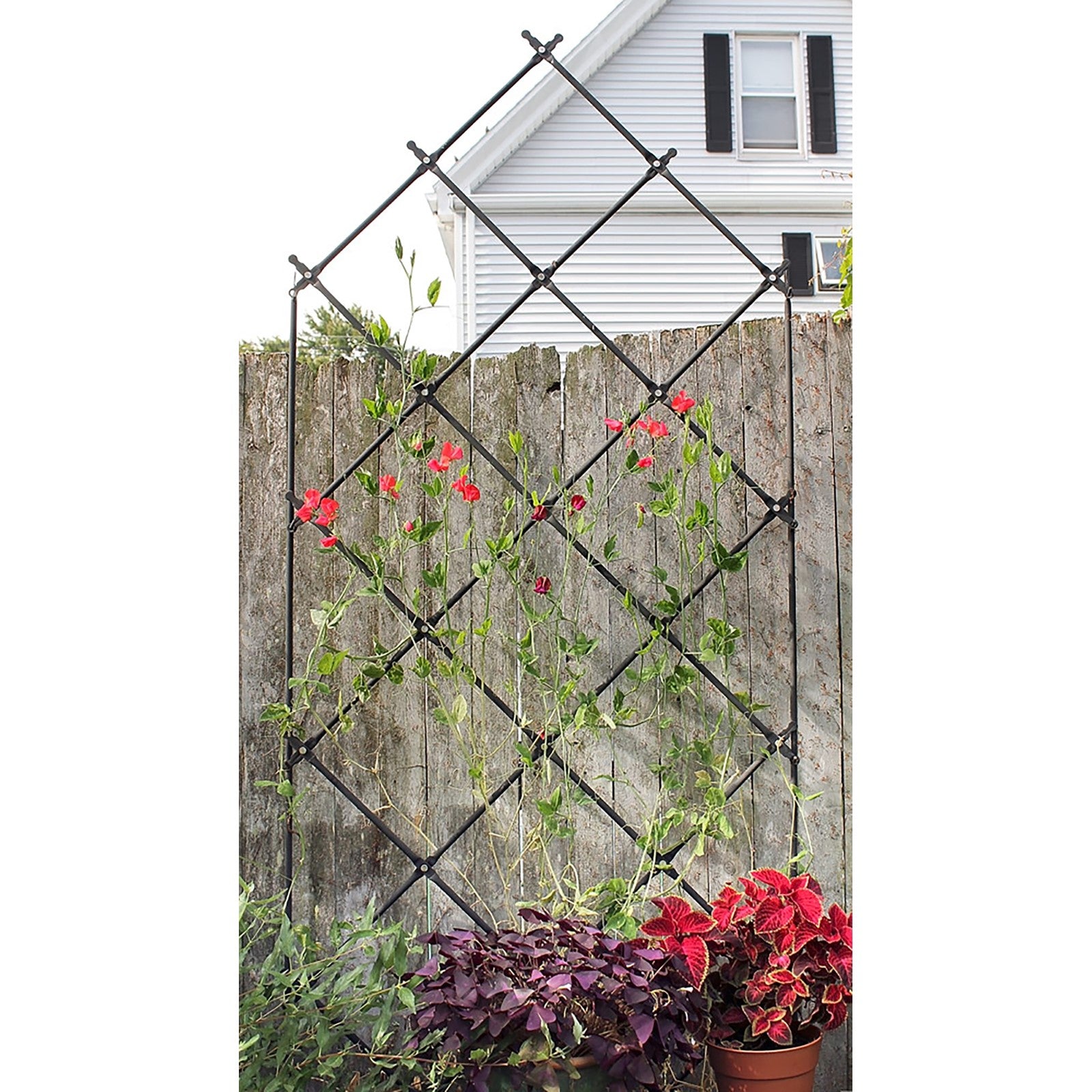ACHLA Lattice Trellis 36in W x 95in H Free Standing | Graphite Powder Coated Iron | Outdoor Privacy Screen & Garden Support | Model FT-30