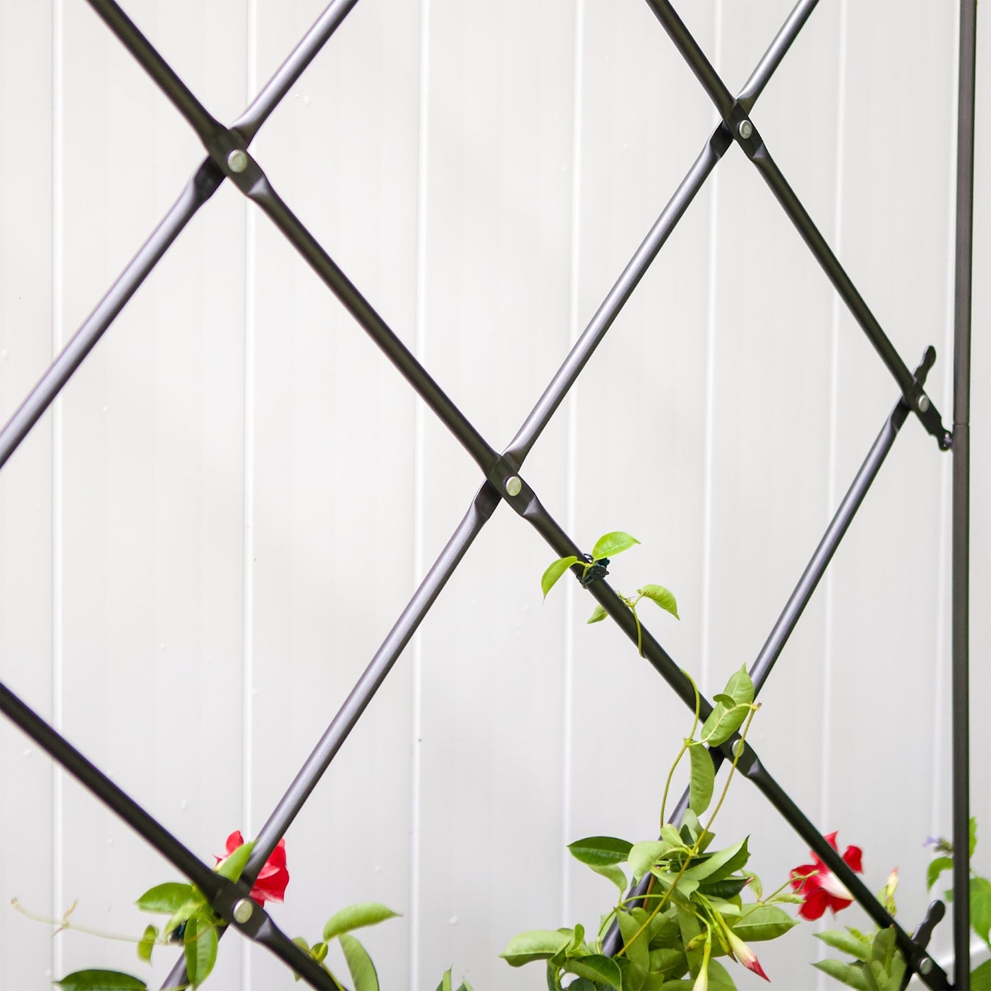 ACHLA Lattice Trellis 36in W x 95in H Free Standing | Graphite Powder Coated Iron | Outdoor Privacy Screen & Garden Support | Model FT-30