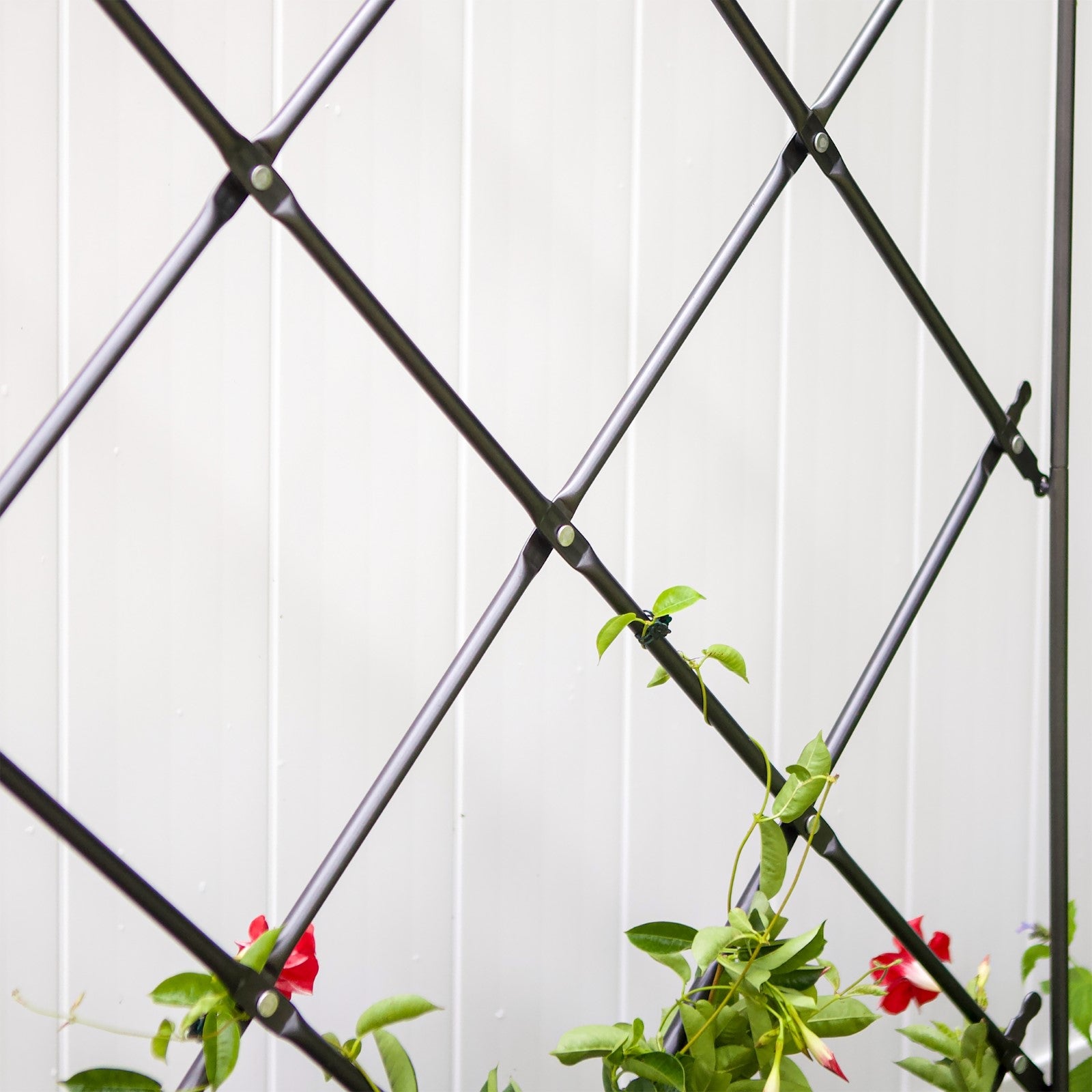 ACHLA Lattice Trellis 36in W x 95in H Free Standing | Graphite Powder Coated Iron | Outdoor Privacy Screen & Garden Support | Model FT-30