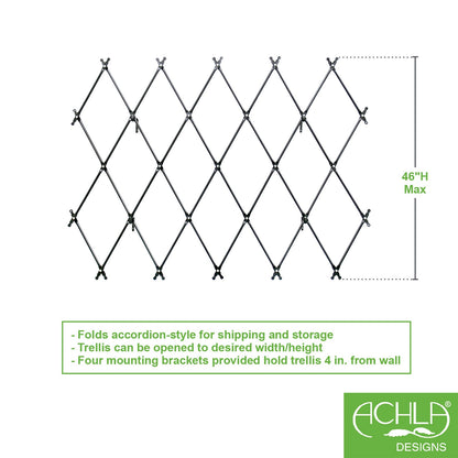 ACHLA Cottage Collection Folding Trellis 67in W x 43in H | Wall-Mounted Graphite Iron Lattice | Garden Privacy Screen & Climbing Plant | Model FT-32G