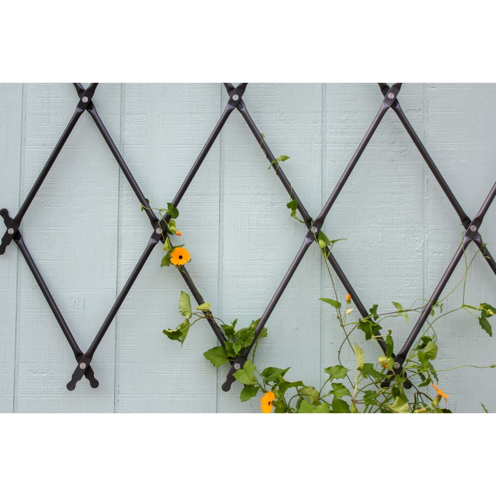 ACHLA Cottage Collection Folding Trellis 67in W x 43in H | Wall-Mounted Graphite Iron Lattice | Garden Privacy Screen & Climbing Plant | Model FT-32G