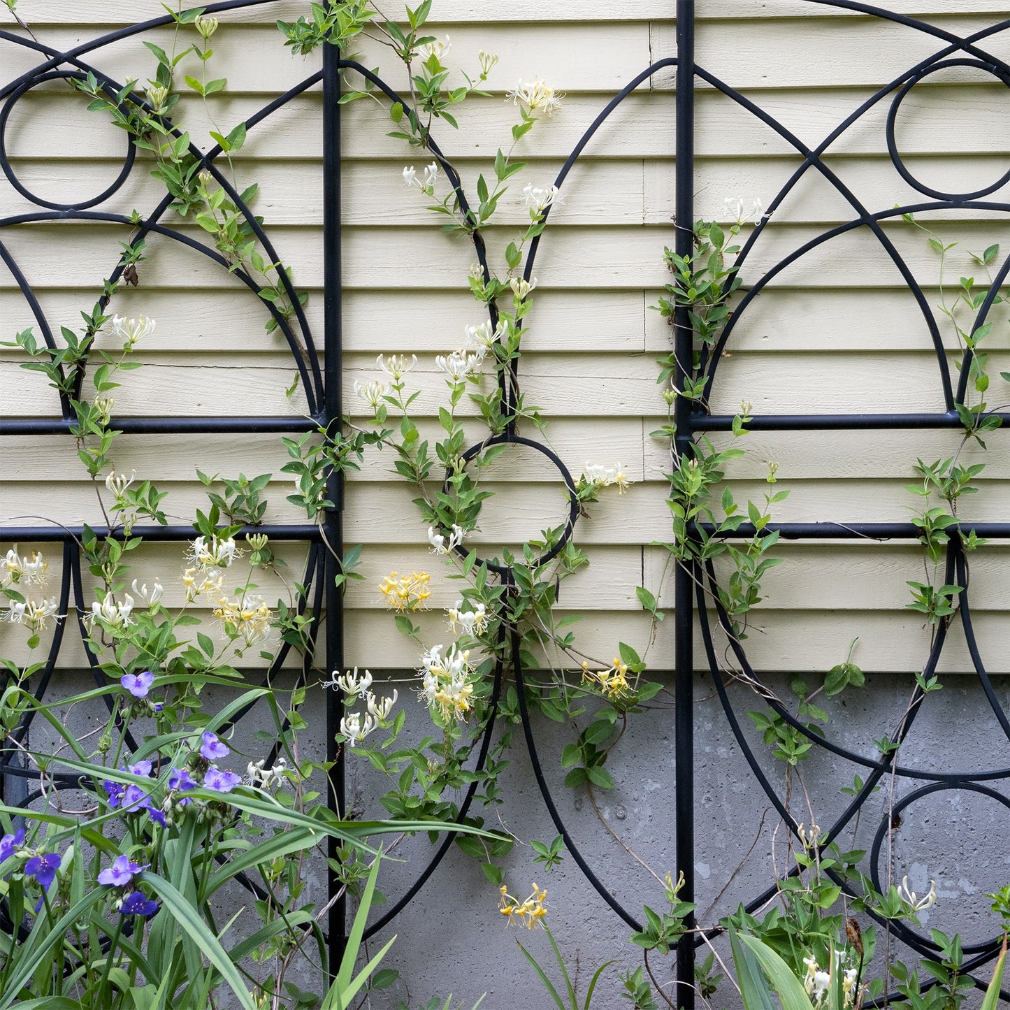 ACHLA Aurora Trellis Center Link | Black Powdercoat Wrought Iron | Garden & Patio Plant Support | 86 in H, Connects Modular Trellises | Model FT-34