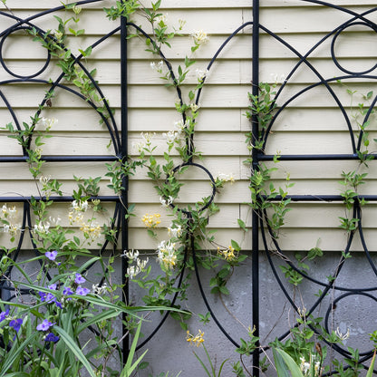 ACHLA Aurora Trellis Center Link | Black Powdercoat Wrought Iron | Garden & Patio Plant Support | 86 in H, Connects Modular Trellises | Model FT-34