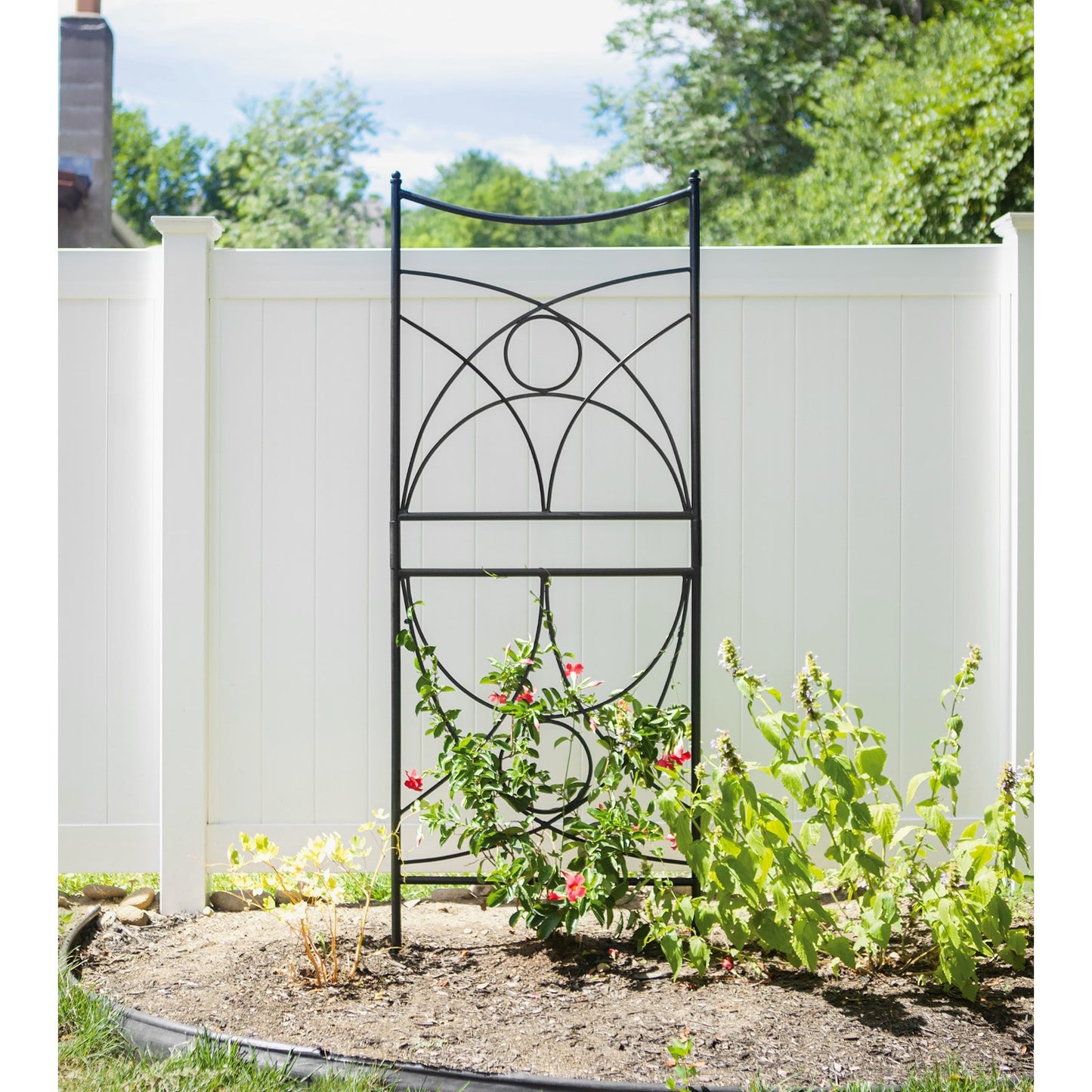 ACHLA Aurora Trellis 86in Wall Trellis | Black Wrought Iron Garden Climbing Vine Support | Outdoor Vertical Garden | 1 x 32 x 86 in | Model FT-35
