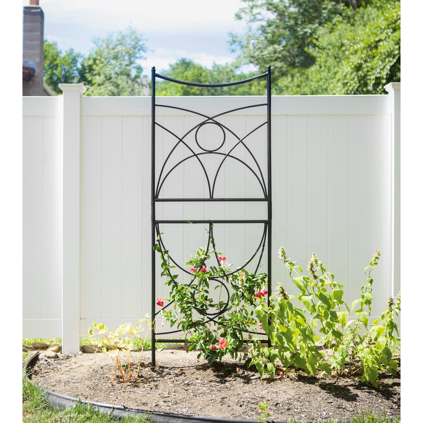 ACHLA Aurora Trellis 86in Wall Trellis | Black Wrought Iron Garden Climbing Vine Support | Outdoor Vertical Garden | 1 x 32 x 86 in | Model FT-35