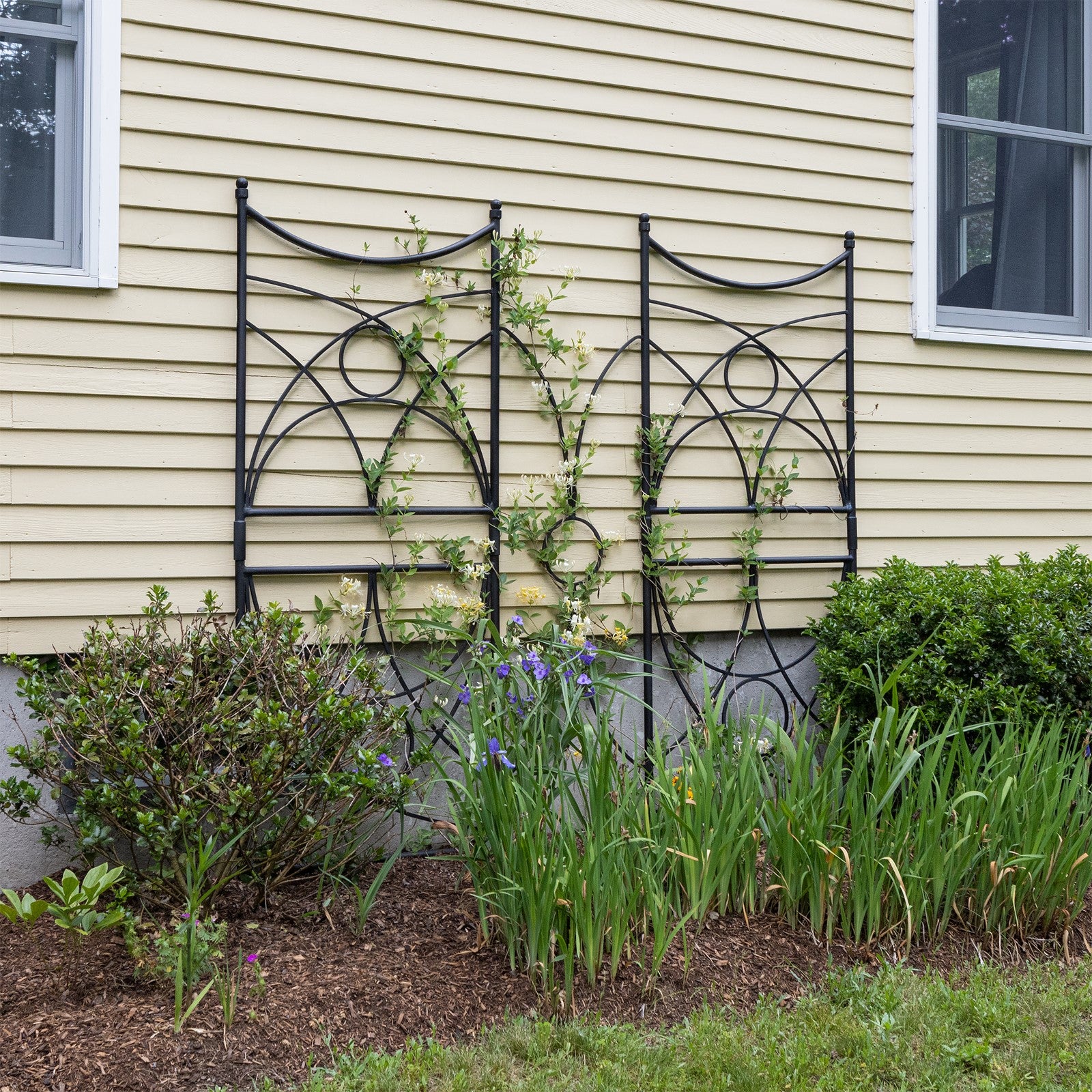 ACHLA Aurora Trellis 86in Wall Trellis | Black Wrought Iron Garden Climbing Vine Support | Outdoor Vertical Garden | 1 x 32 x 86 in | Model FT-35