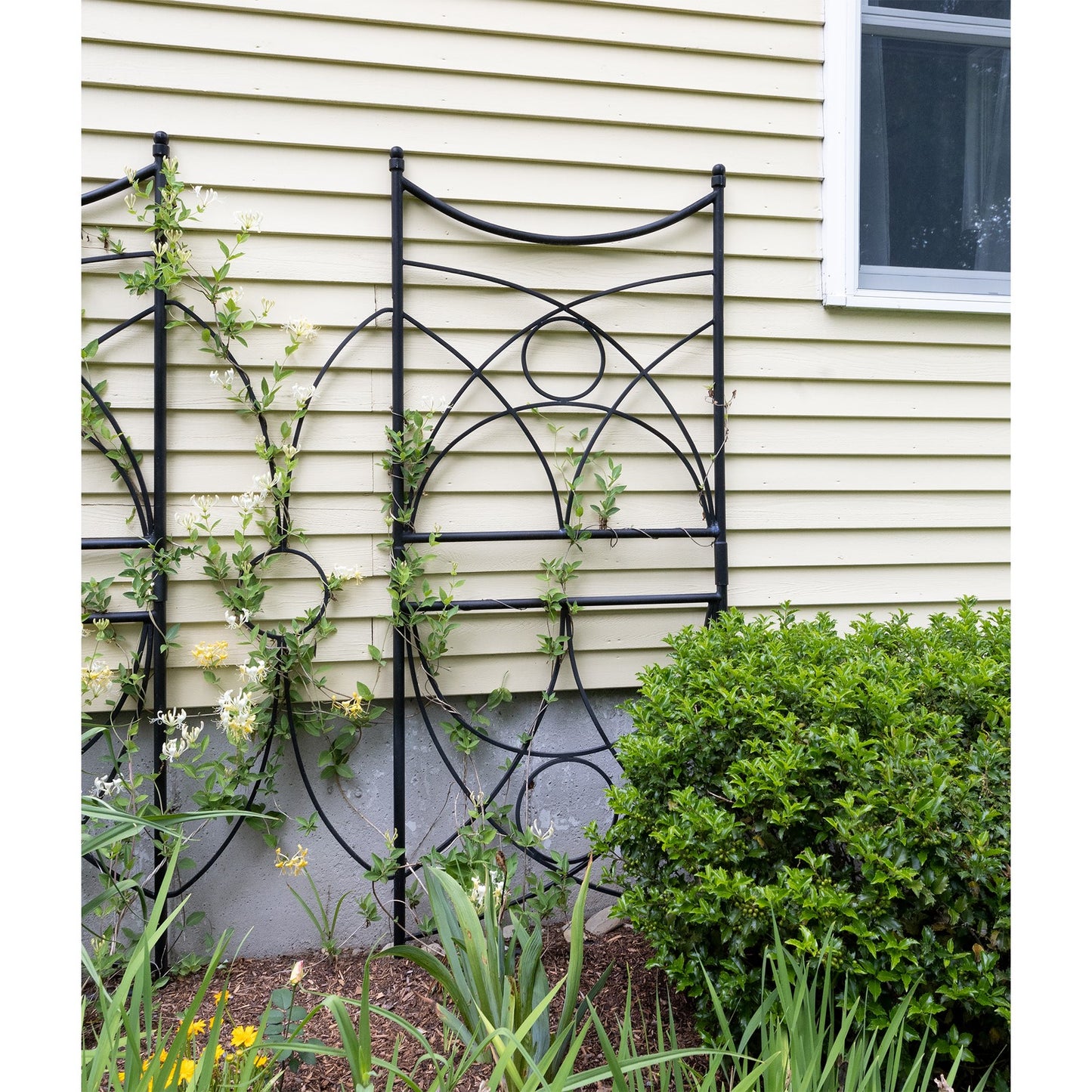 ACHLA Aurora Trellis 86in Wall Trellis | Black Wrought Iron Garden Climbing Vine Support | Outdoor Vertical Garden | 1 x 32 x 86 in | Model FT-35
