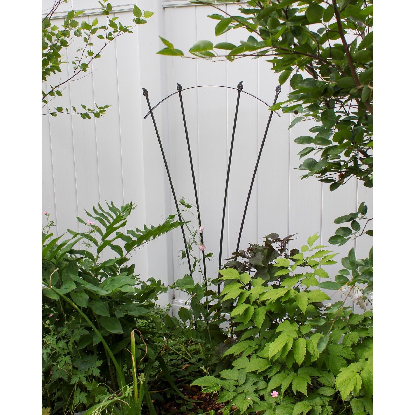 ACHLA Fan Trellis I | Iron Graphite Garden Trellis | Climbing Plants & Cottage Garden Support | 38 x 56 x 0.5 in | Model FT-37G