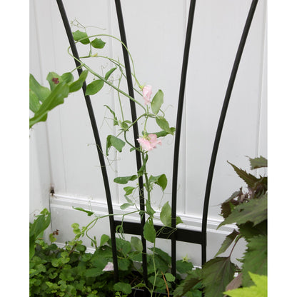 ACHLA Fan Trellis I | Iron Graphite Garden Trellis | Climbing Plants & Cottage Garden Support | 38 x 56 x 0.5 in | Model FT-37G