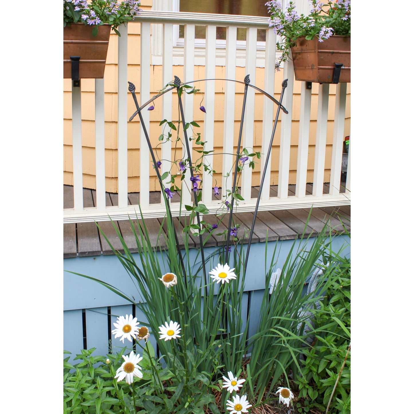 ACHLA Fan Trellis I | Iron Graphite Garden Trellis | Climbing Plants & Cottage Garden Support | 38 x 56 x 0.5 in | Model FT-37G