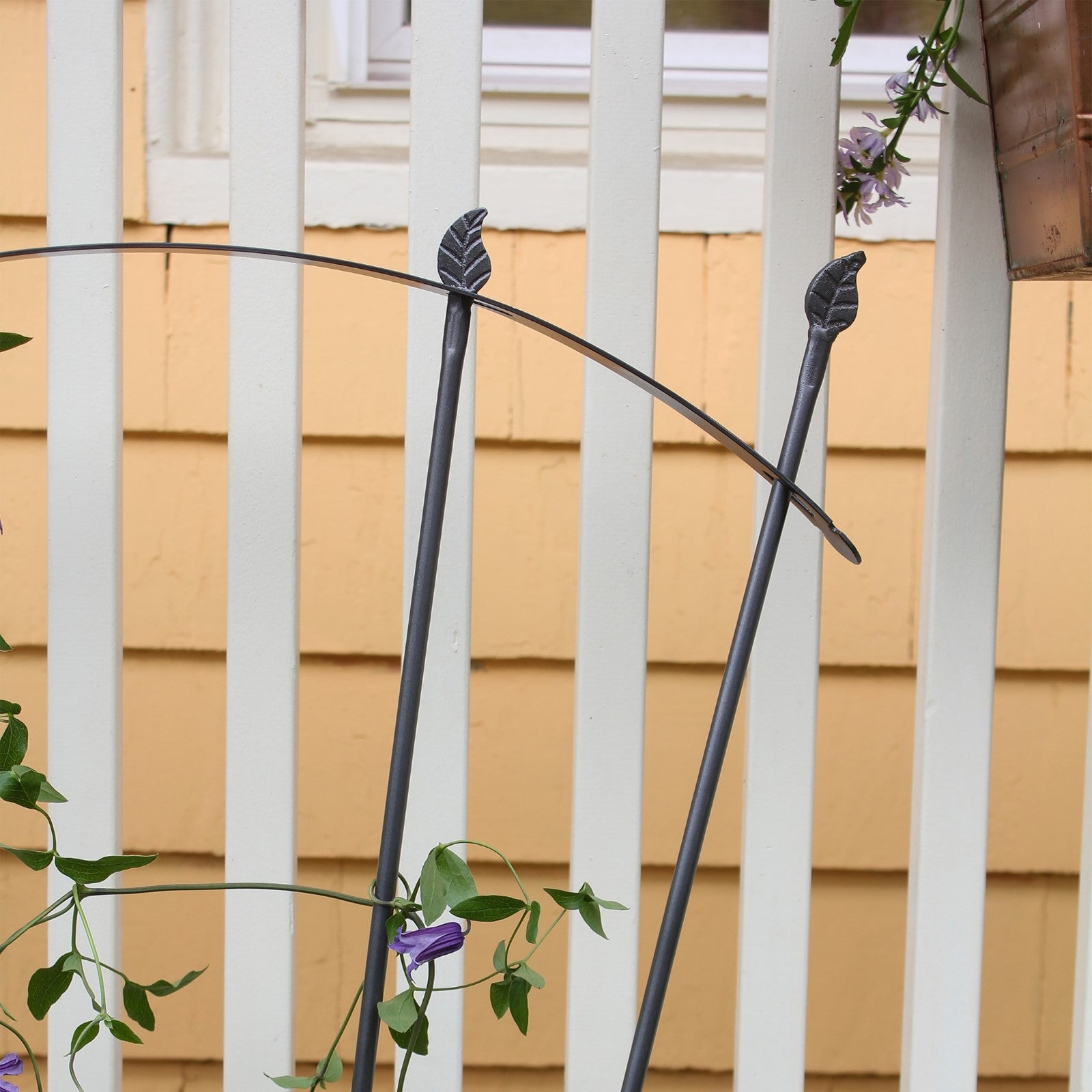 ACHLA Fan Trellis I | Iron Graphite Garden Trellis | Climbing Plants & Cottage Garden Support | 38 x 56 x 0.5 in | Model FT-37G