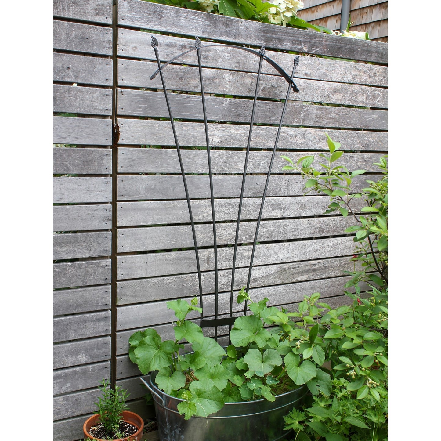 ACHLA Fan Trellis I | Iron Graphite Garden Trellis | Climbing Plants & Cottage Garden Support | 38 x 56 x 0.5 in | Model FT-37G