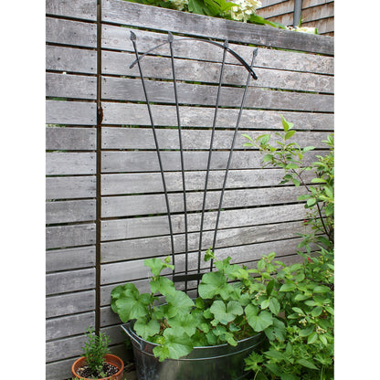 ACHLA Fan Trellis I | Iron Graphite Garden Trellis | Climbing Plants & Cottage Garden Support | 38 x 56 x 0.5 in | Model FT-37G