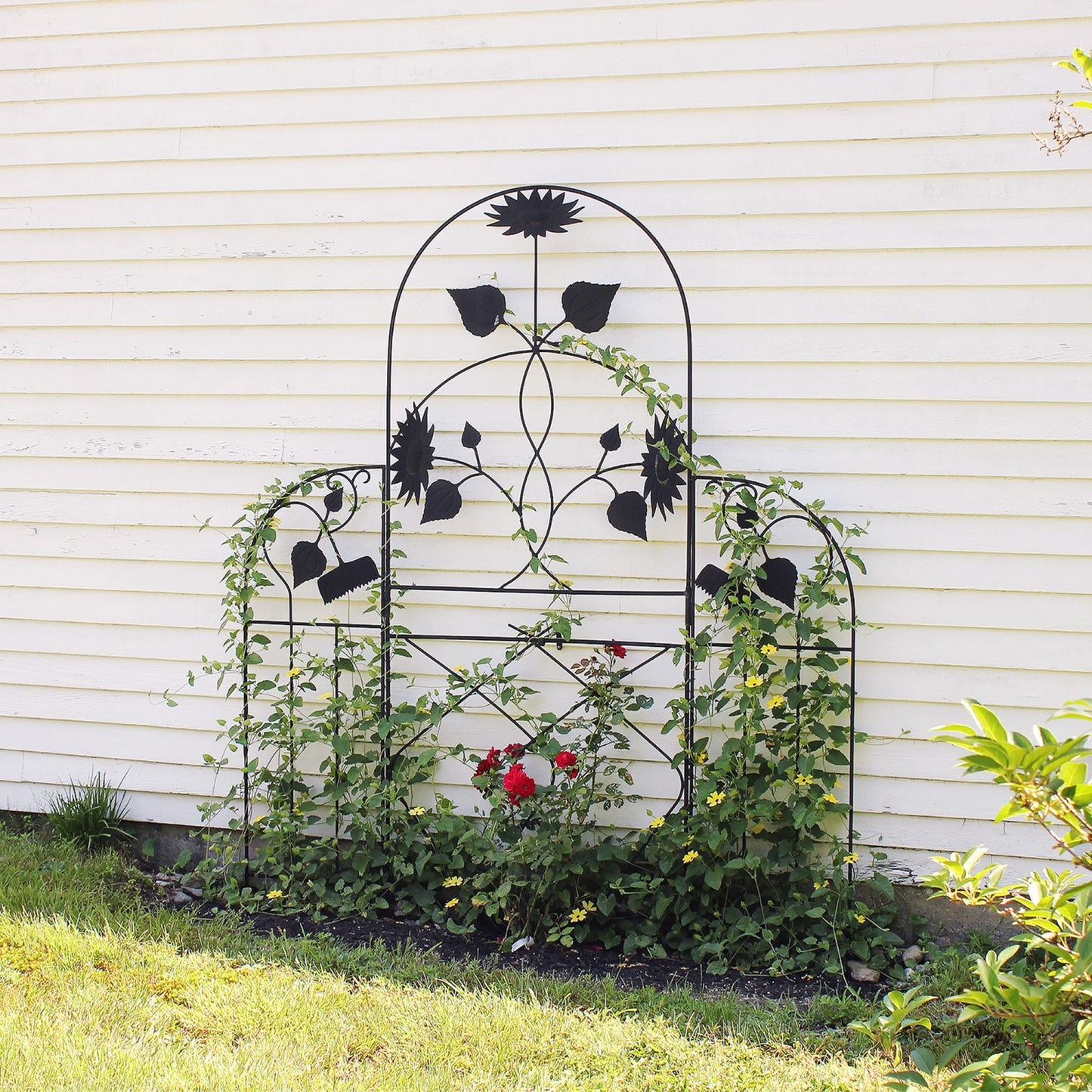 ACHLA Sunflower Trellis 90in H | Wrought Iron Black Powder Coated | Garden & Patio Climbing Plant Support | 36 x 1 x 90 in | Model FT-43