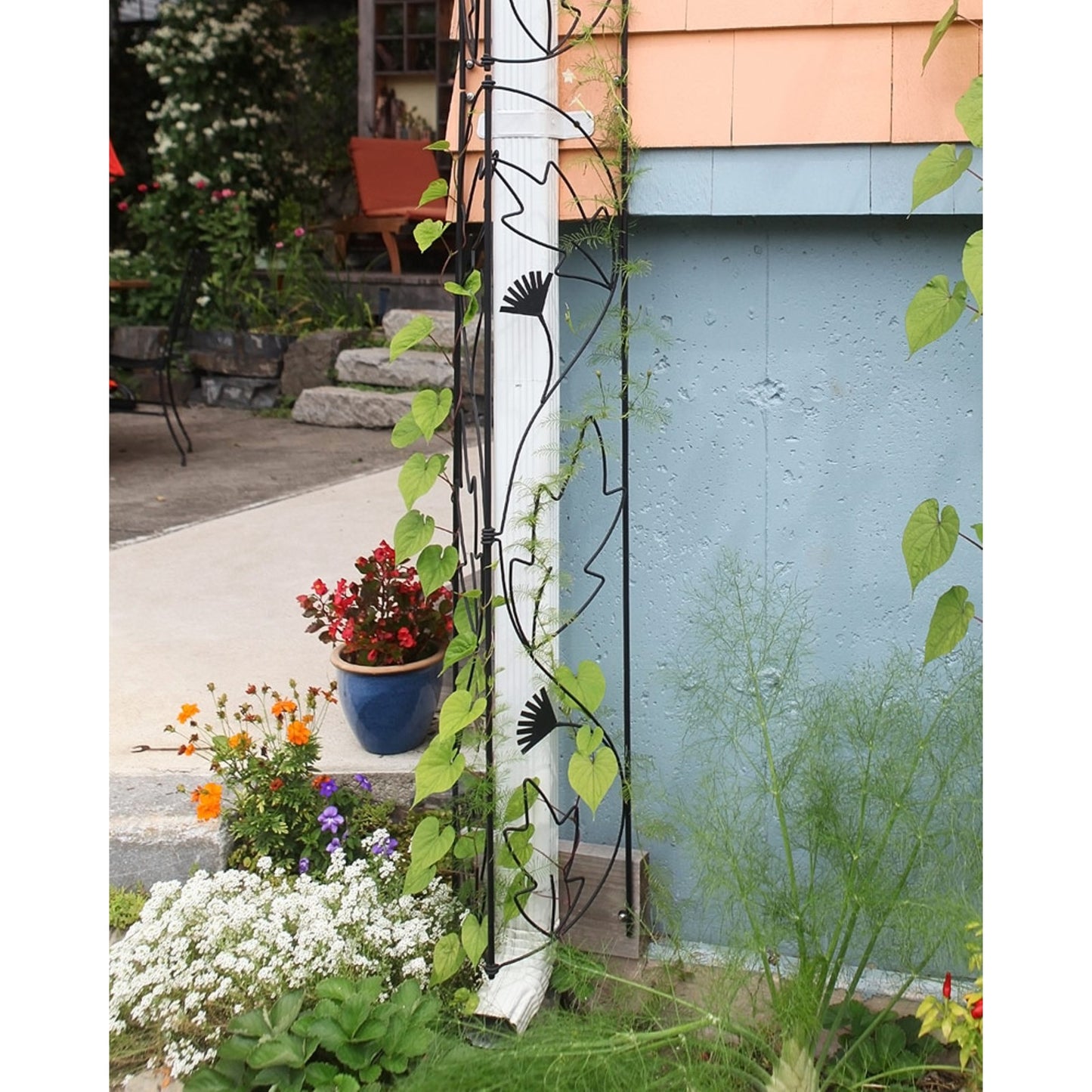 ACHLA Downspout Trellis 92in Tall | Traditional Wrought Iron Black Powdercoat | Garden Bed & Potted Plant Vertical Support | Model FT-47