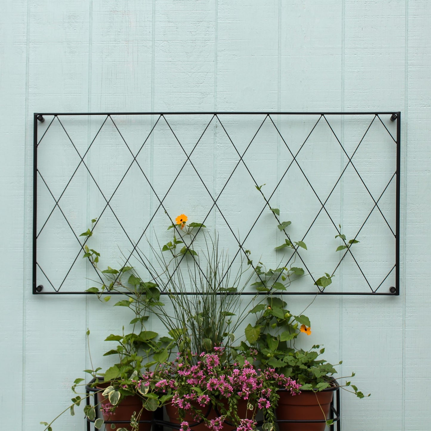 ACHLA Oxfordshire Trellis Extension 46in | Traditional Black Wrought Iron | Outdoor Wall Trellis for Roses & Climbing Vines | Model FT-54E
