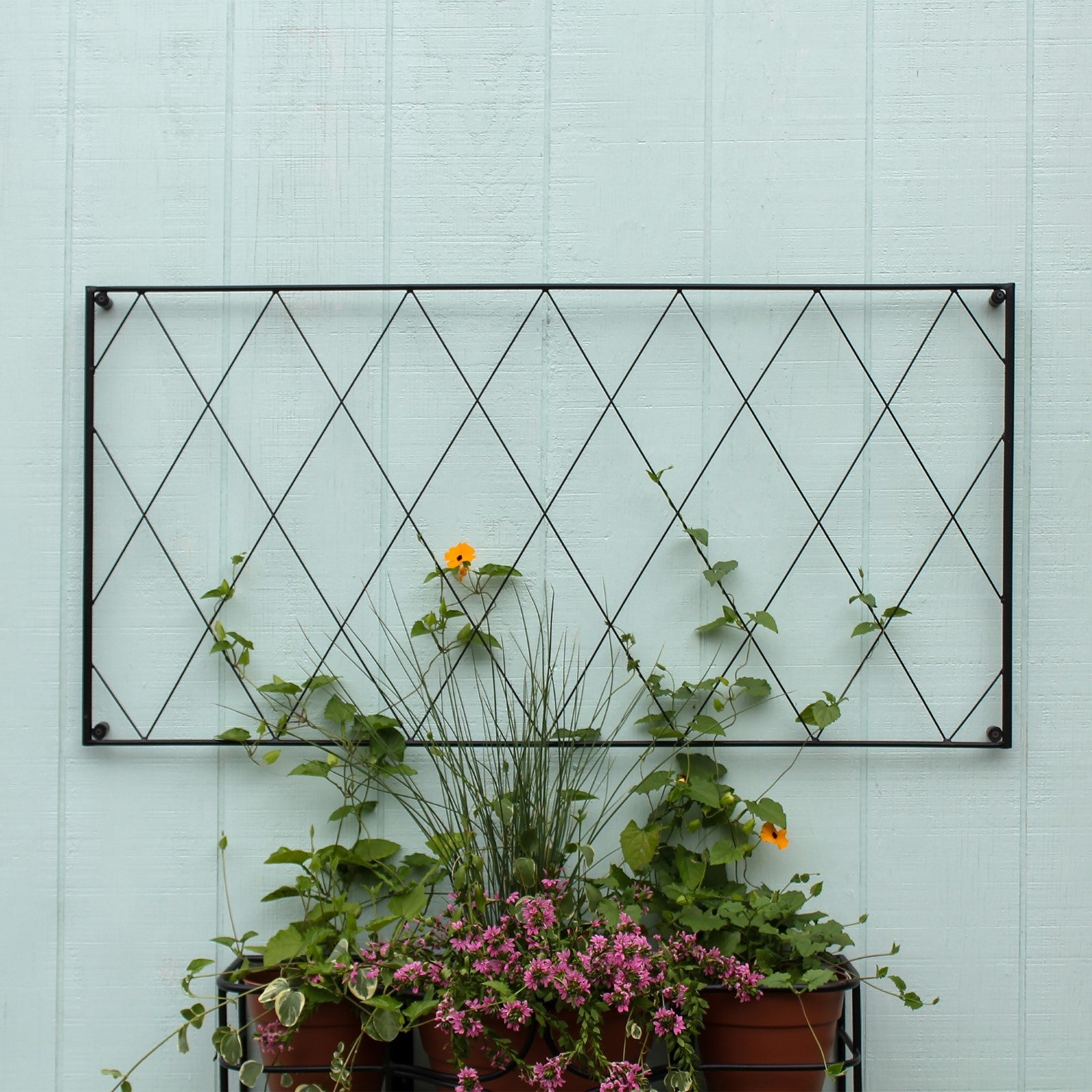 ACHLA Oxfordshire Trellis Extension 46in | Traditional Black Wrought Iron | Outdoor Wall Trellis for Roses & Climbing Vines | Model FT-54E