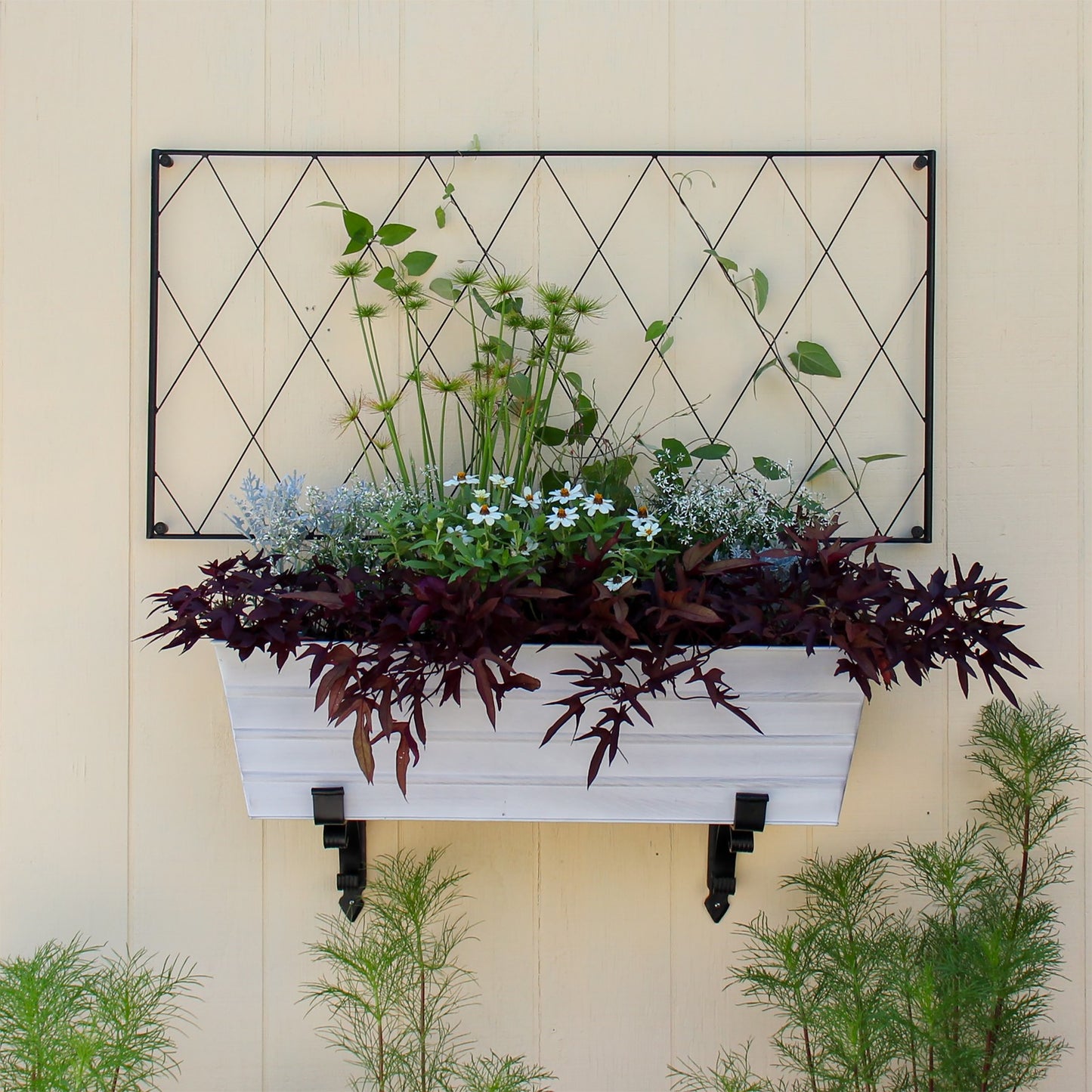 ACHLA Oxfordshire Trellis Extension 46in | Traditional Black Wrought Iron | Outdoor Wall Trellis for Roses & Climbing Vines | Model FT-54E