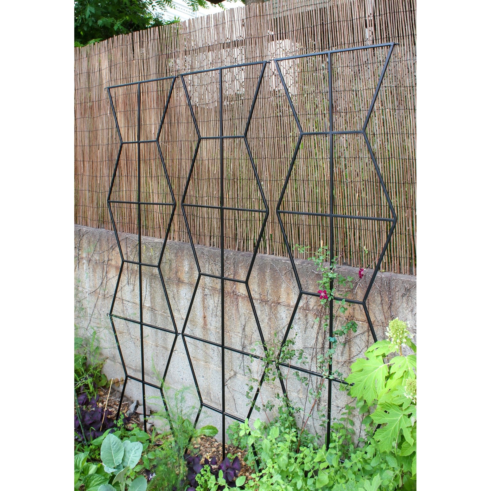 ACHLA Zigzag Screen Trellis 79.5in Wide | Modern Black Wrought Iron | Patio & Garden Green Screen | 79.5 x 26.5 x 84 in | Model FT-60