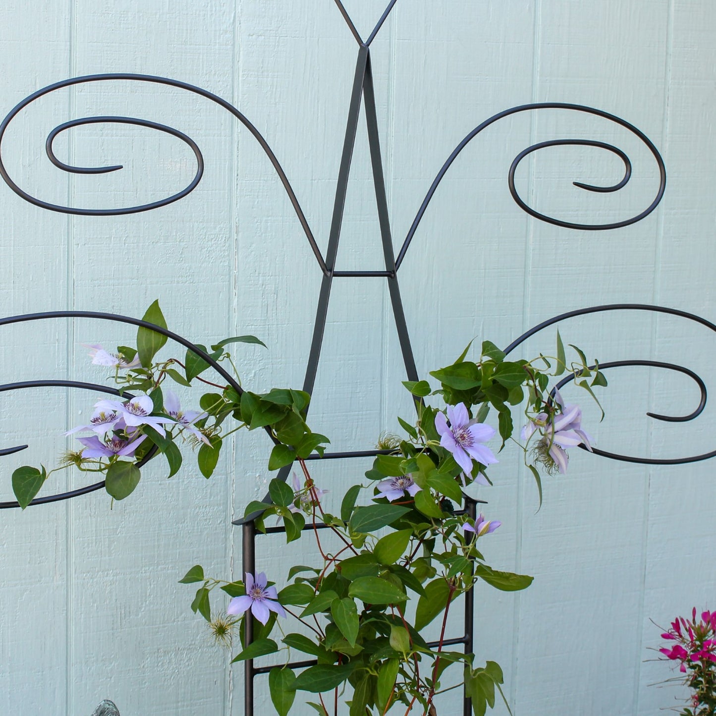 ACHLA Butterfly Trellis 49.75in H | Graphite Wrought Iron Garden Support | Outdoor Planter & Living Fence | 42 x 11 x 49.75 in | Model FT-61