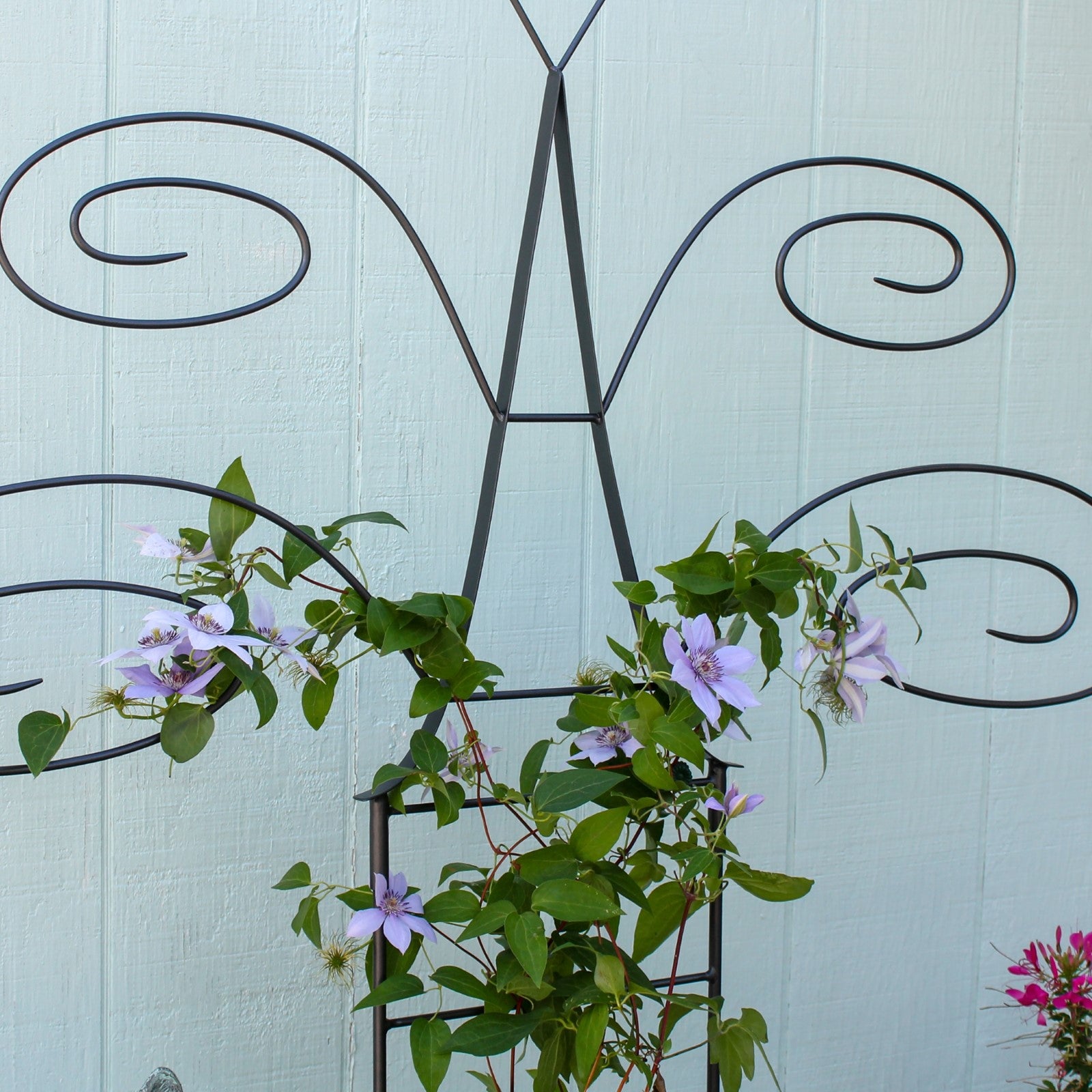 ACHLA Butterfly Trellis 49.75in H | Graphite Wrought Iron Garden Support | Outdoor Planter & Living Fence | 42 x 11 x 49.75 in | Model FT-61