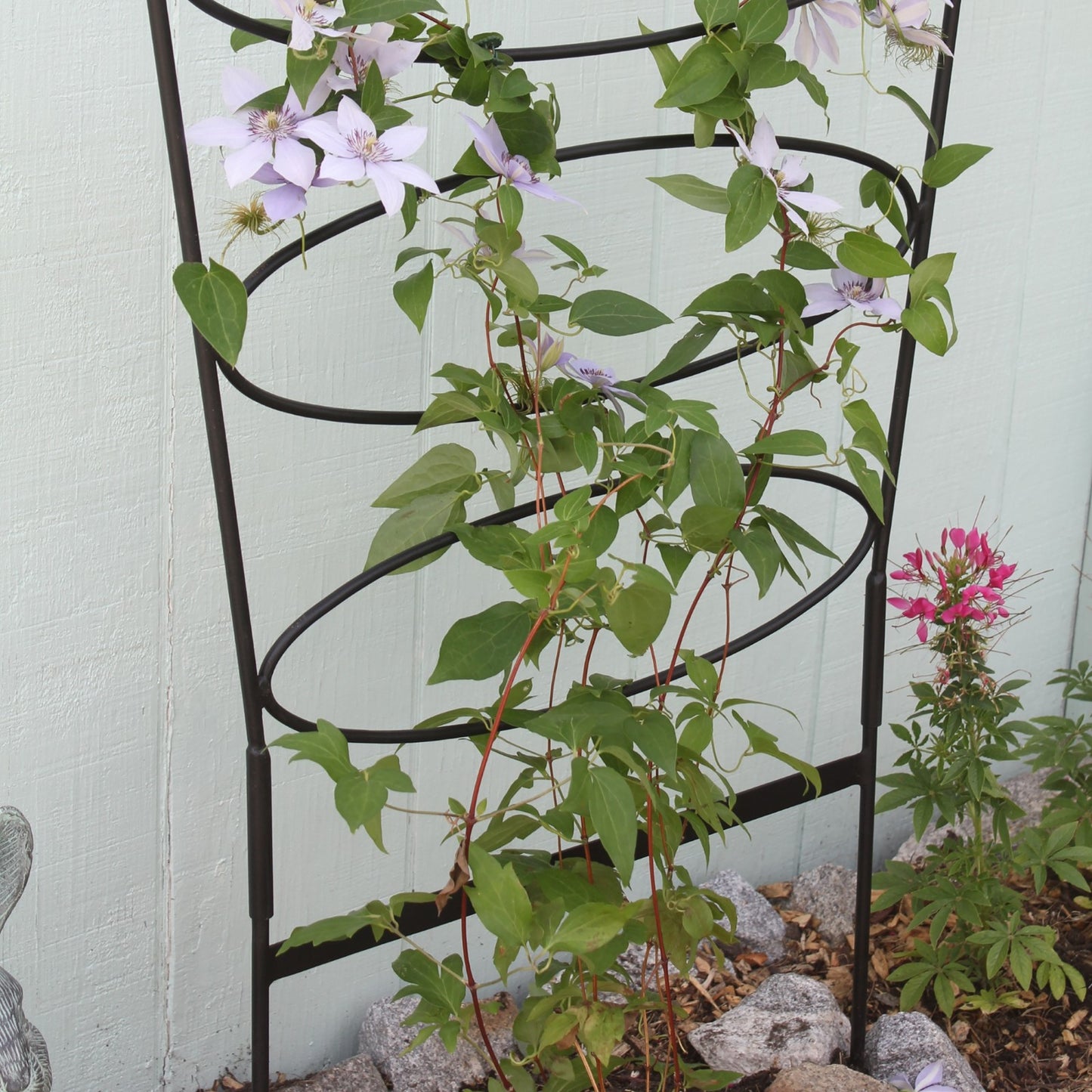 ACHLA Ovals Trellis 61in H | Wrought Iron Black Powdercoat | Garden & Patio Climbing Plant Support | 30 x 30 x 61 in | Model FT-66