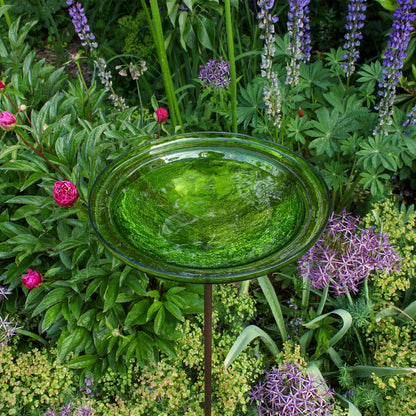 ACHLA Fern Green Crackle Glass Bowl with Stand | 12.5in Diameter Outdoor Garden Decor | Patio & Yard Accent | 12.5 x 12.5 x 3 in | Model GBB-05