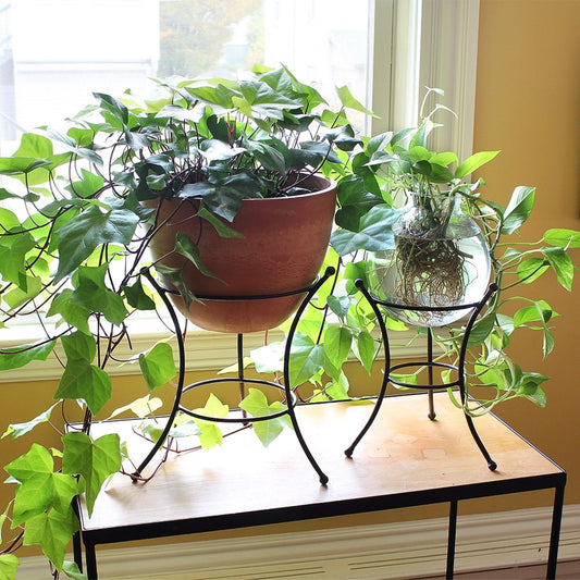 ACHLA 10in Ball Stand | Wrought Iron Black Powder Coat | Garden Pedestal & Birdbath Base | 9 x 9 x 14 in | Model GBS-21