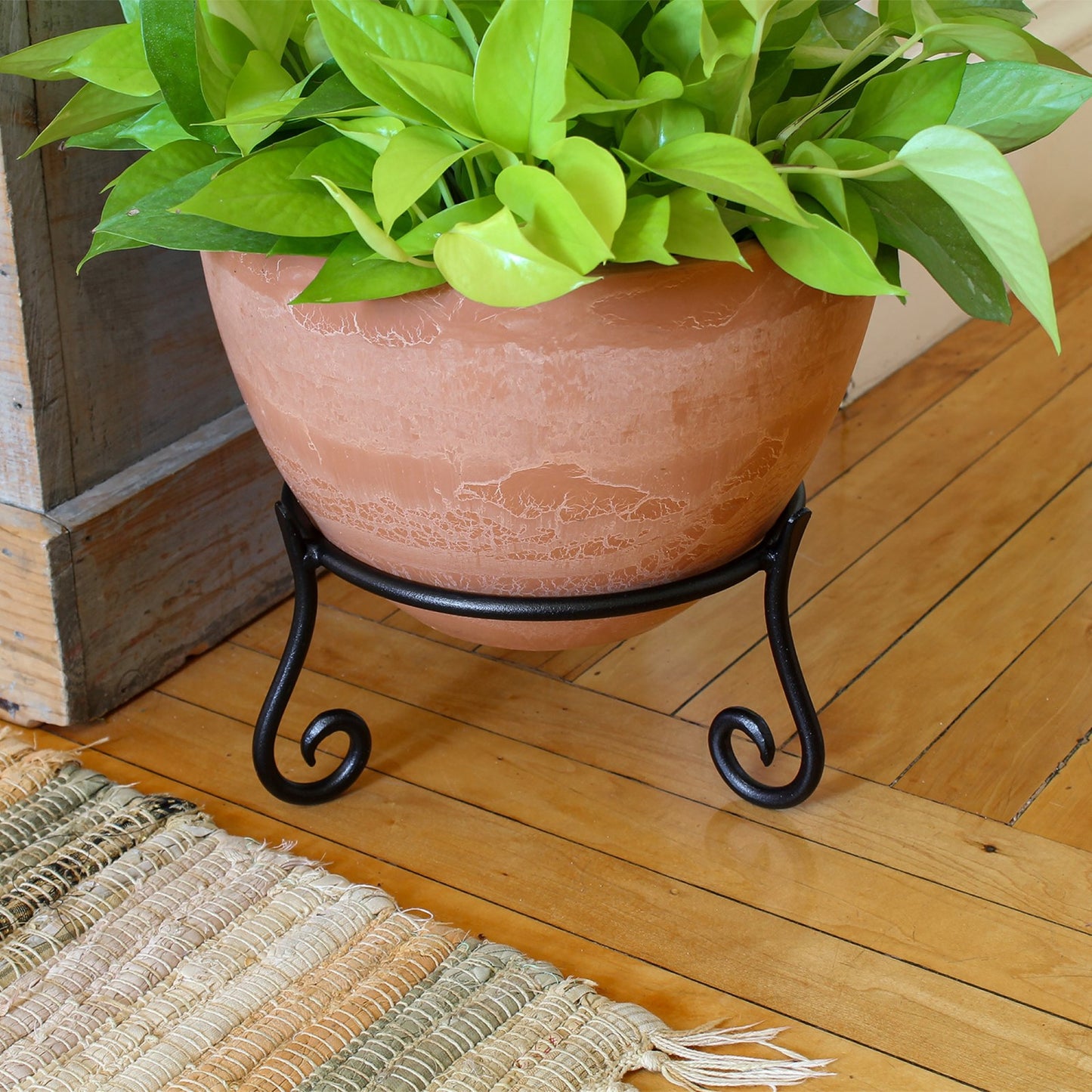 ACHLA Short Stand GBS-22 | Wrought Iron Black Powder Coat | Indoor & Outdoor Plant Stand | 9.5 x 9.5 x 5 in | Model GBS-22