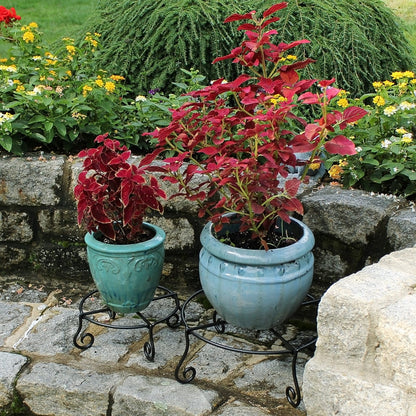 ACHLA Piazza 10in Plant Stand | Wrought Iron Black Powdercoat | Indoor & Outdoor Patio Plant Display | 12 x 12 x 4 in | Model GBS-23