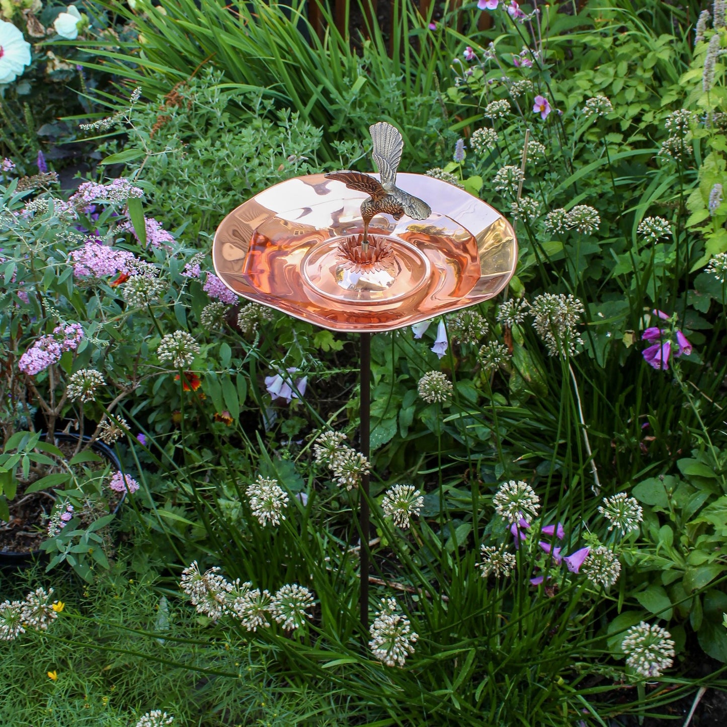 ACHLA Hummingbird Birdbath with Stand | Polished Brass and Copper | Garden & Patio Accent | 13.25 x 13.25 x 7 in | Model HBBB-01-S