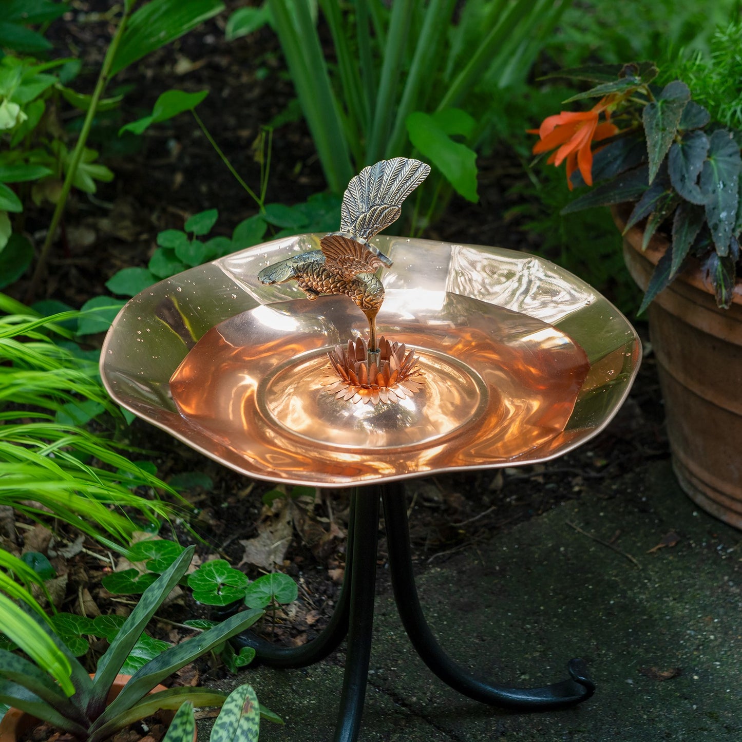 ACHLA Hummingbird Birdbath Tripod Stand | Polished Brass & Copper Flower-Shaped Bowl on Black Wrought Iron Base | Garden & Patio | Model HBBB-01-TR2